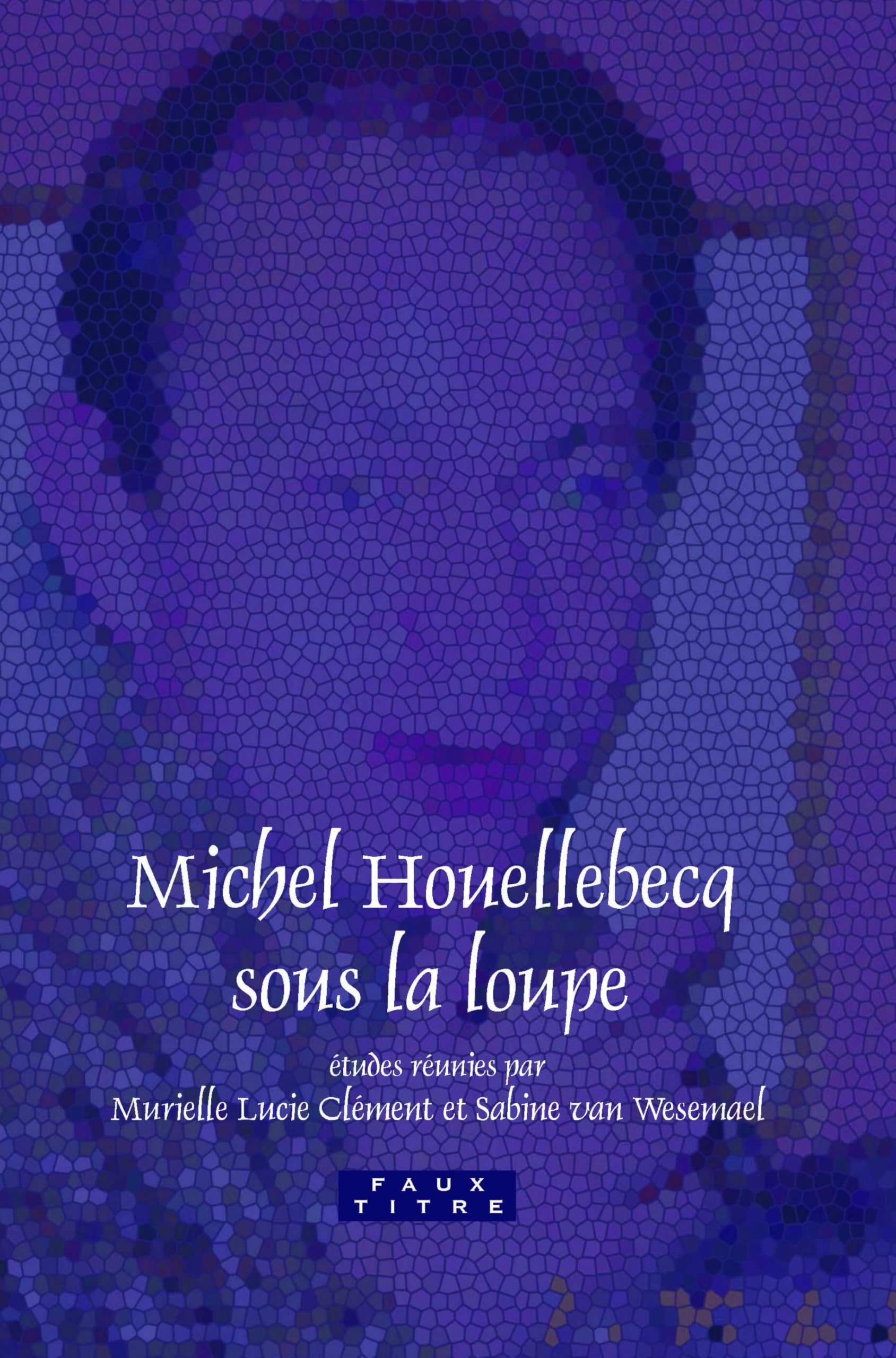 Michel Houellebecq sous la loupe: 304 (Faux Titre, 304)