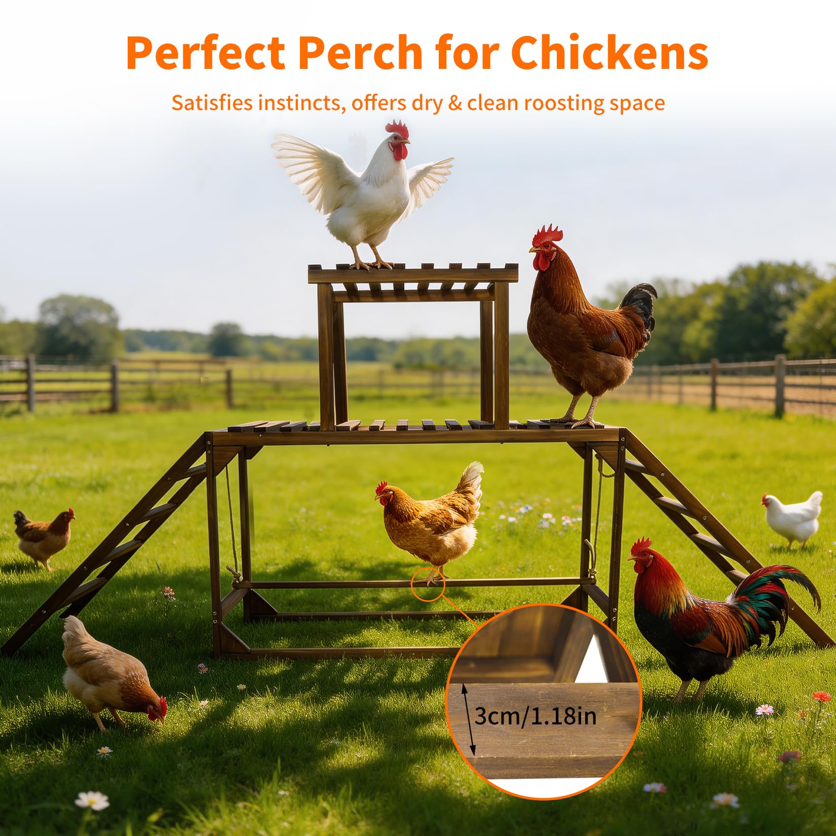 BingoPaw Percha de Madera para Gallinas con Escalera y Columpio, Perchero de Carbonizado para 8-10 Gallinas, Área de Pie Amplia, Resistente a la Corrosión, 200x30x89cm