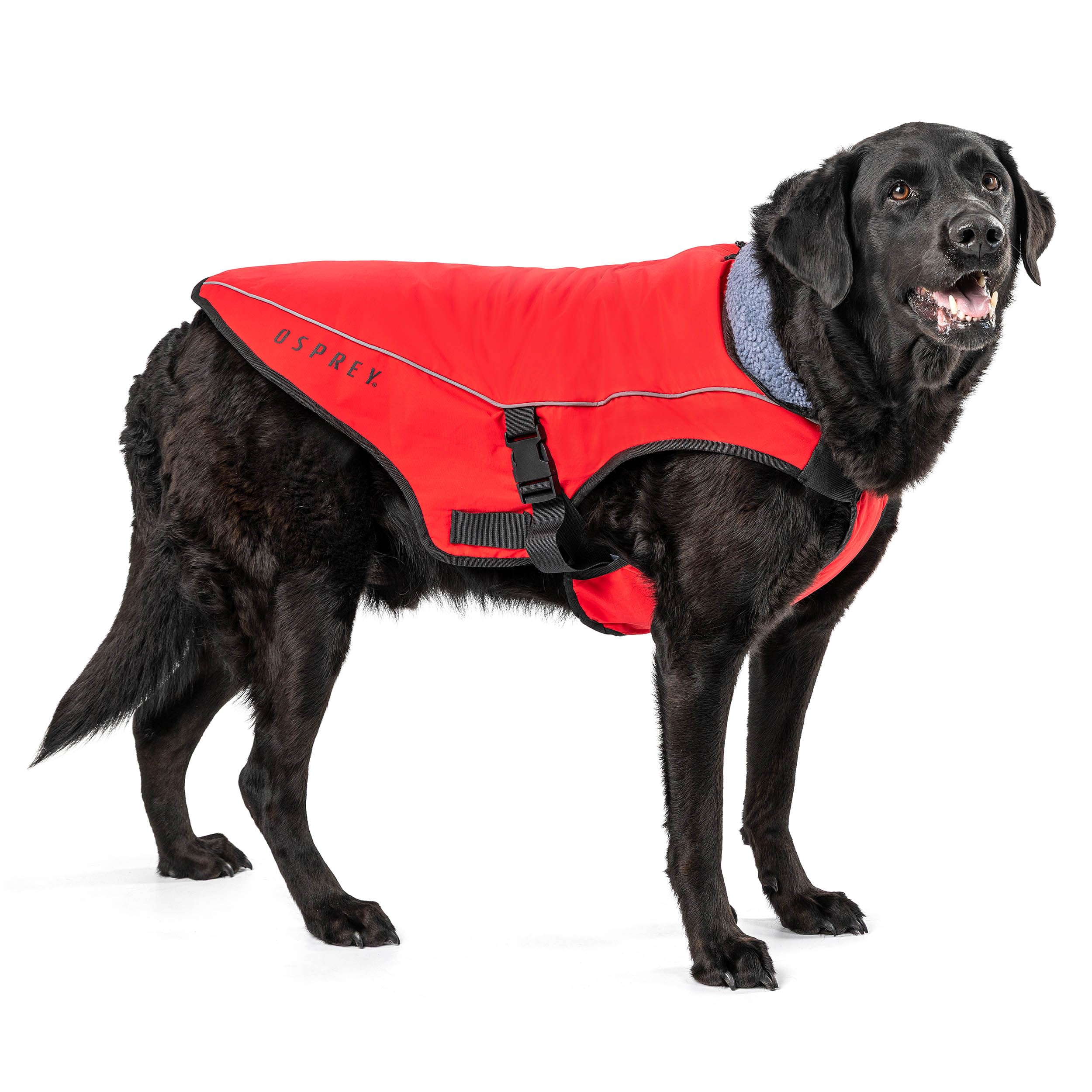 Osprey Dog Coat Water Resistant, Adjustable, Sherpa Fleece, Reflective Trim, Convenient Lead Access, Red XS