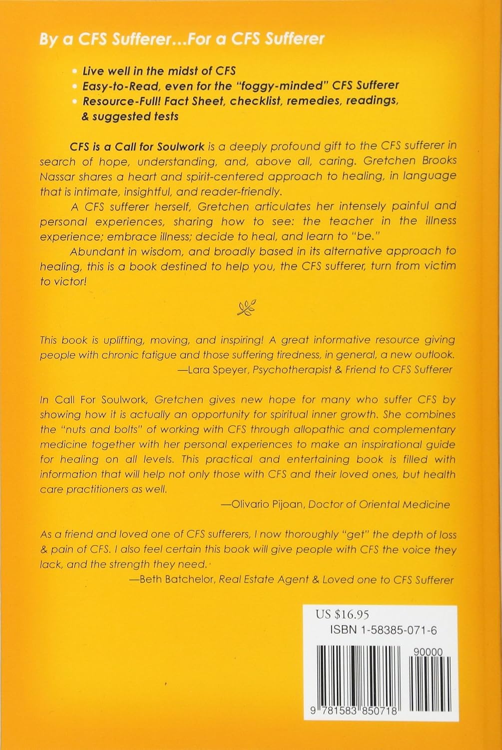 CFS is a Call For Soulwork      Paperback – May 16, 2005