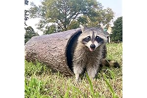 Nature's Hollow: A Spacious and Secure Hideout for Pets