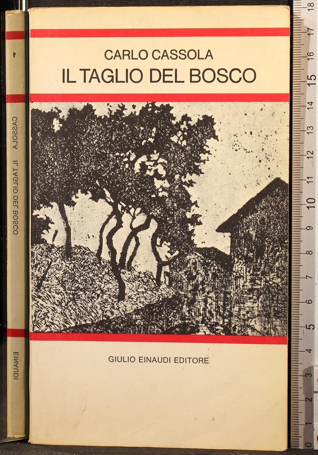 Il taglio del bosco. 9788806275402 Carlo Cassola Books