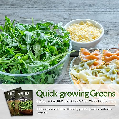 Miniatura 7 de Survival Garden Seeds - Semilla de rúcula para plantar - Paquete con instrucciones para plantar y cultivar verduras de hoja verde cohete en tu hogar