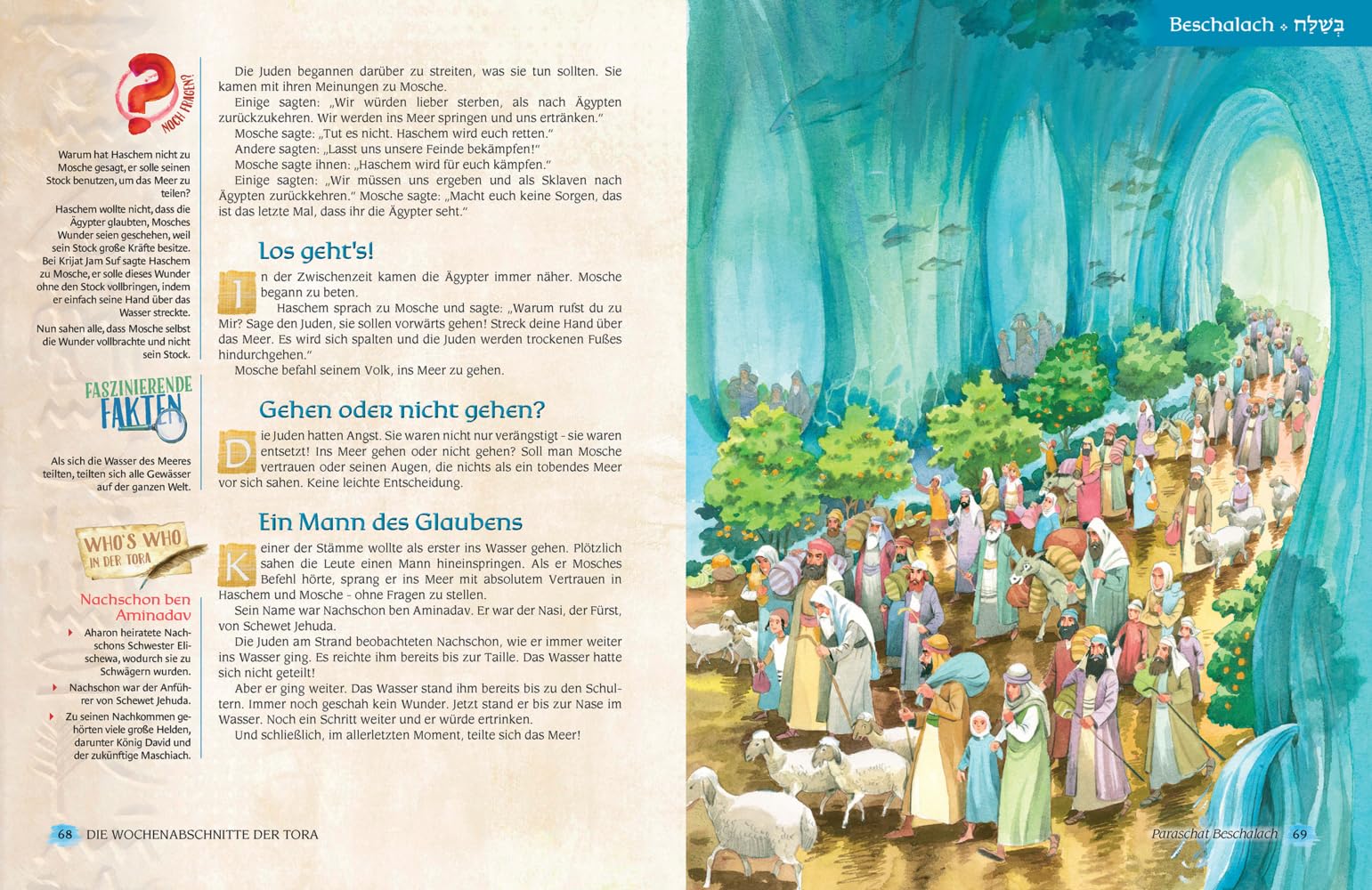 Die Wochenabschnitte der Tora. Gesamtausgabe in 5 Bänden: Eine illustrierte Nacherzählung mit Midraschim (Meine Tora)