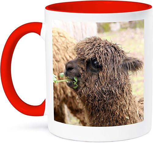3dRose Danita DelimontVida SilvestrePerú. Alpaca huacaya Vida Silvestre, awana kanchaSA17kwi0099Kymri WiltTazas, RojoBlanco