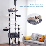 Hey-brother Arbre de chat, 250-280CM Plancher au plafond Cat Hauteur réglable, Tour d'escalade de chat pour chats Grand adulte avec poste de graissage, Cando de chat, Gris fumé MPJ091G