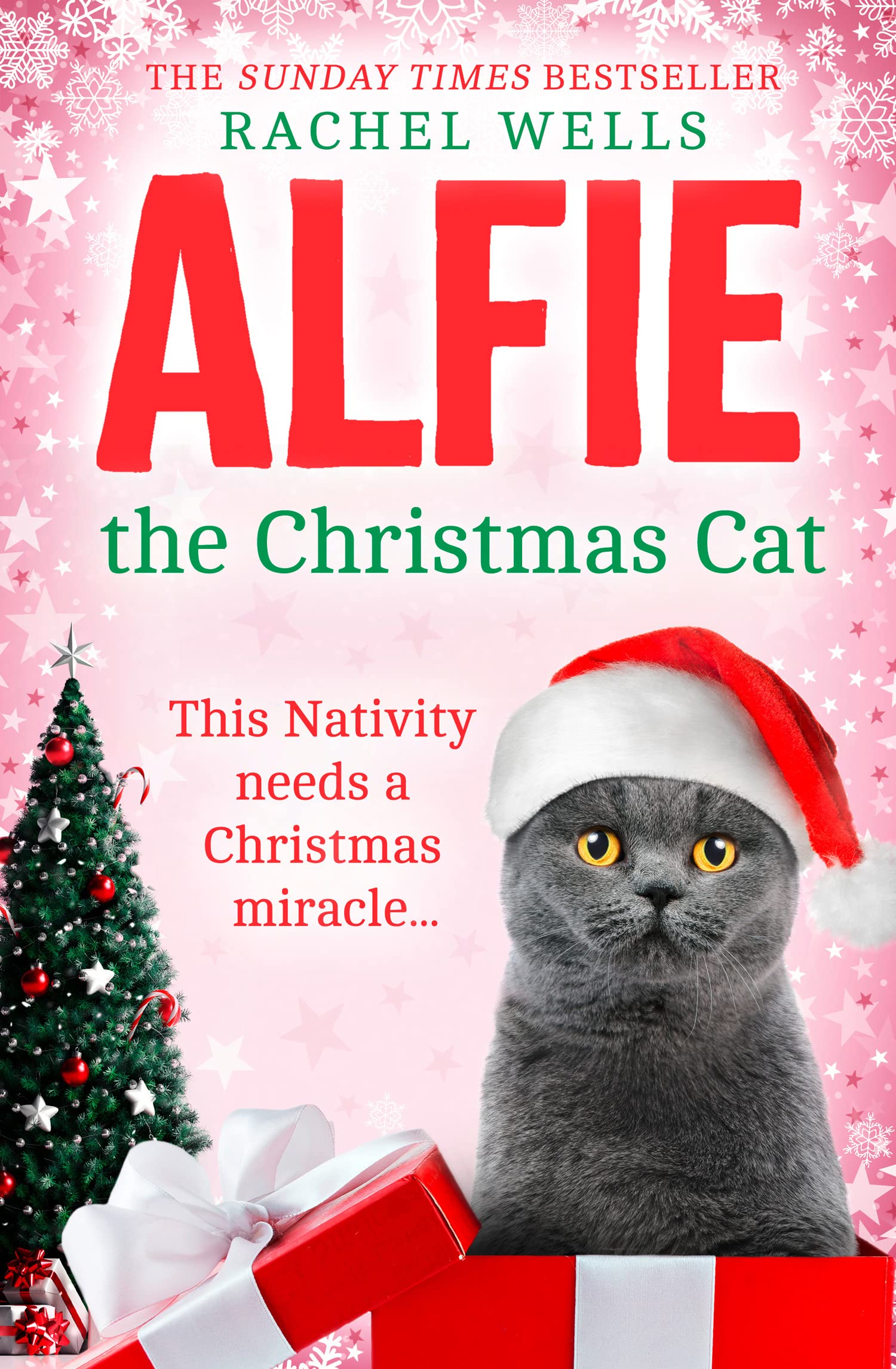 Alfie the Christmas Cat by Rachel Wells - 9780008483722
