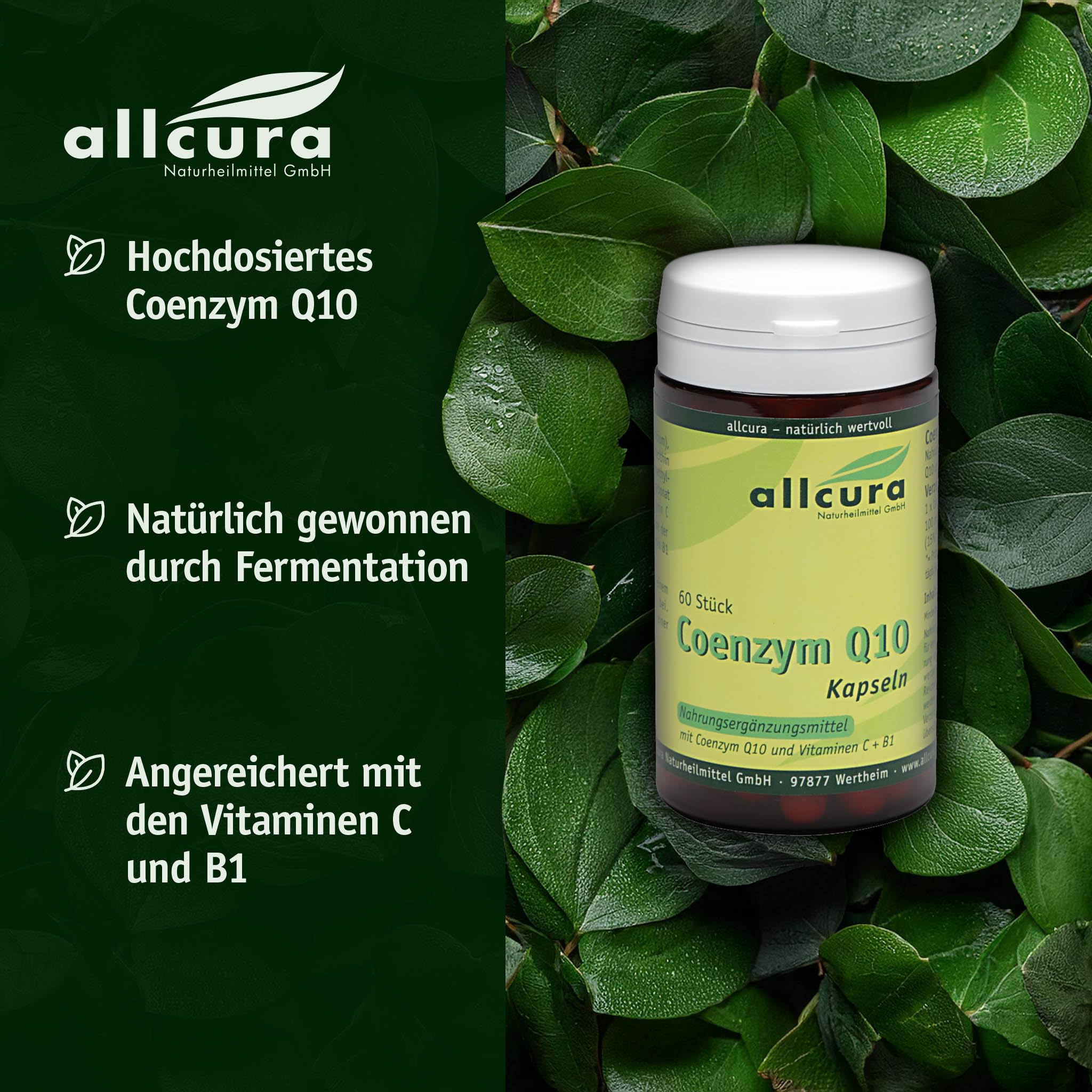 Coenzym Q10 100 mg Kapseln | Hochdosiert & vegan | Natürlich fermentiertes Q10 mit Vitamin C & B1 | Für Energie & Herz