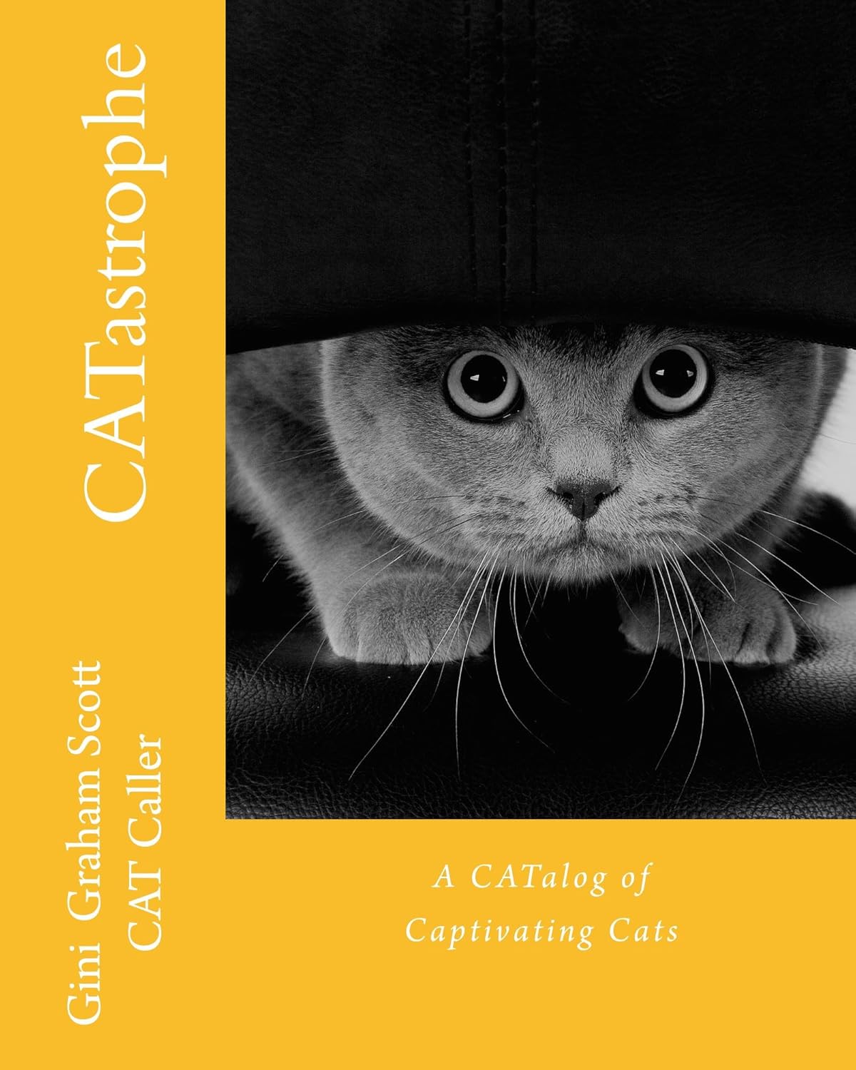 CATastrophe A CATalog of Captivating Cats eBook Scott