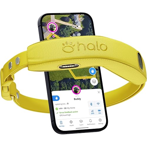 Halo Collar 4, GPS Wireless Dog Fence & Dog Training Collar with GPS Tracker, Subscription Required, Waterproof, Sunburst, One Size