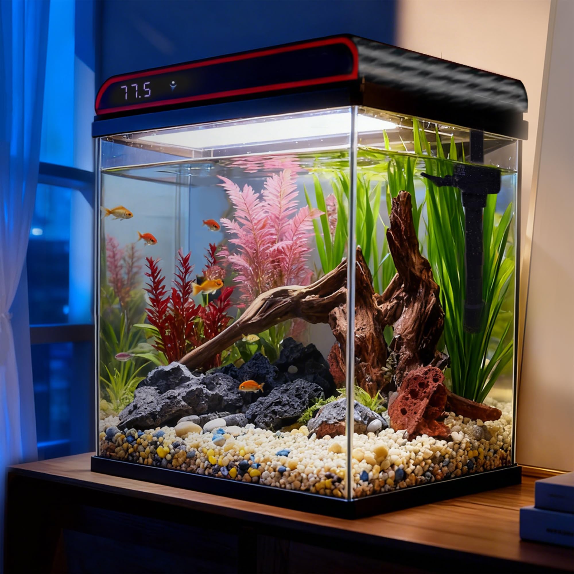 Coospider 20 Gallon Self-Cleaning Aquarium Starter Kit