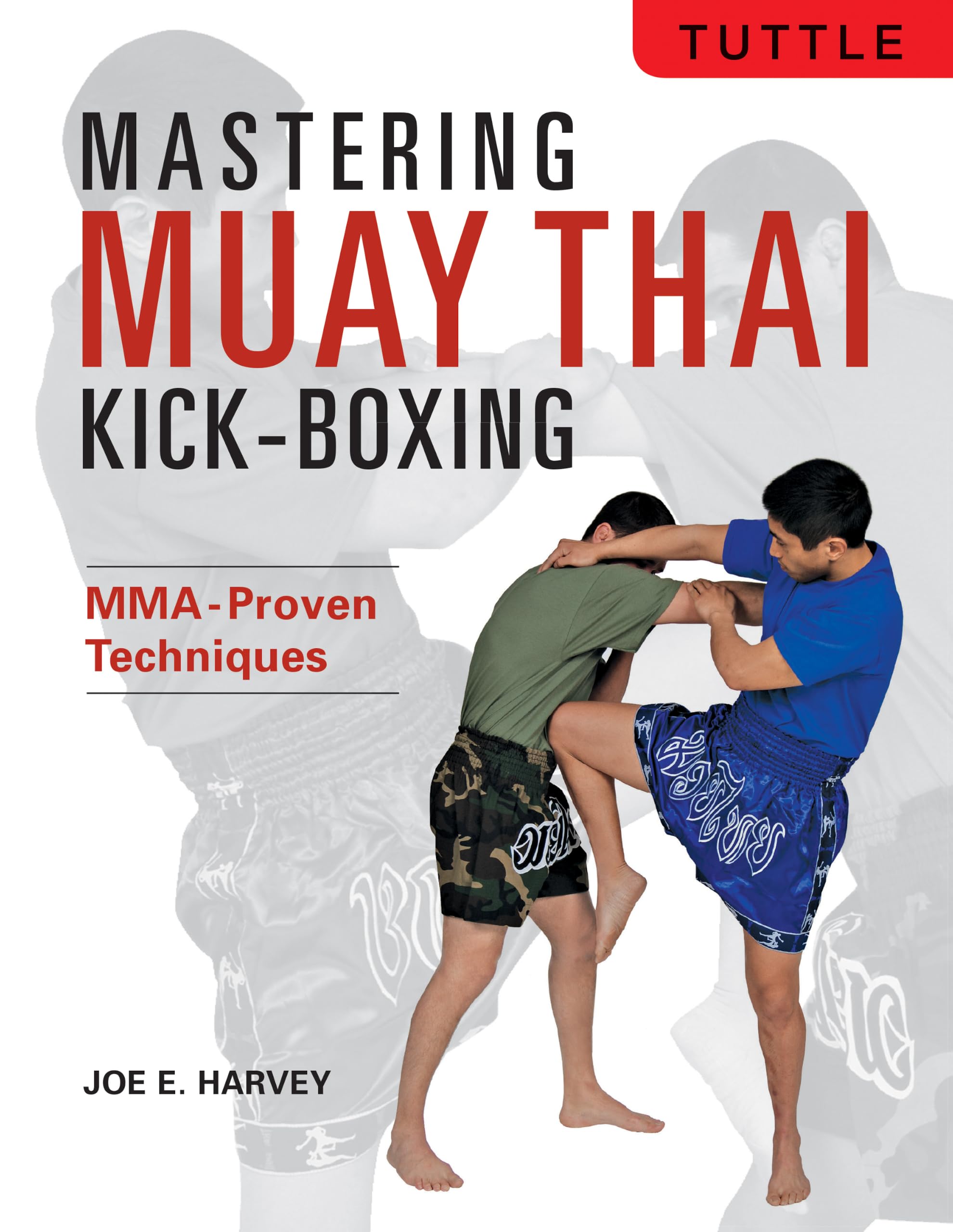 Mastering Muay Thai Kickboxing