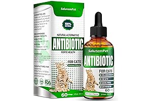 Natural Cat Antibiotics: Alleviation for Cats with Allergies