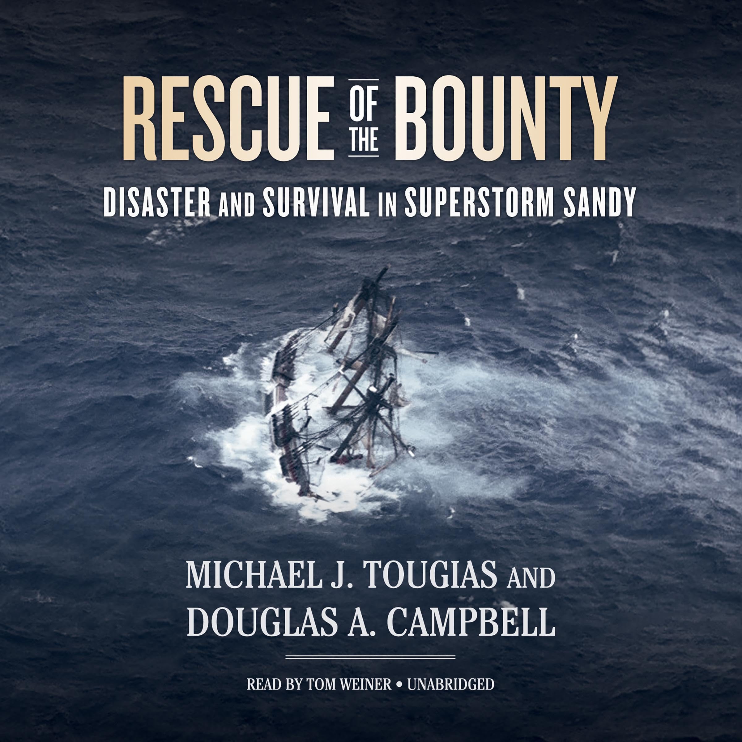 Cover art for Rescue of the Bounty