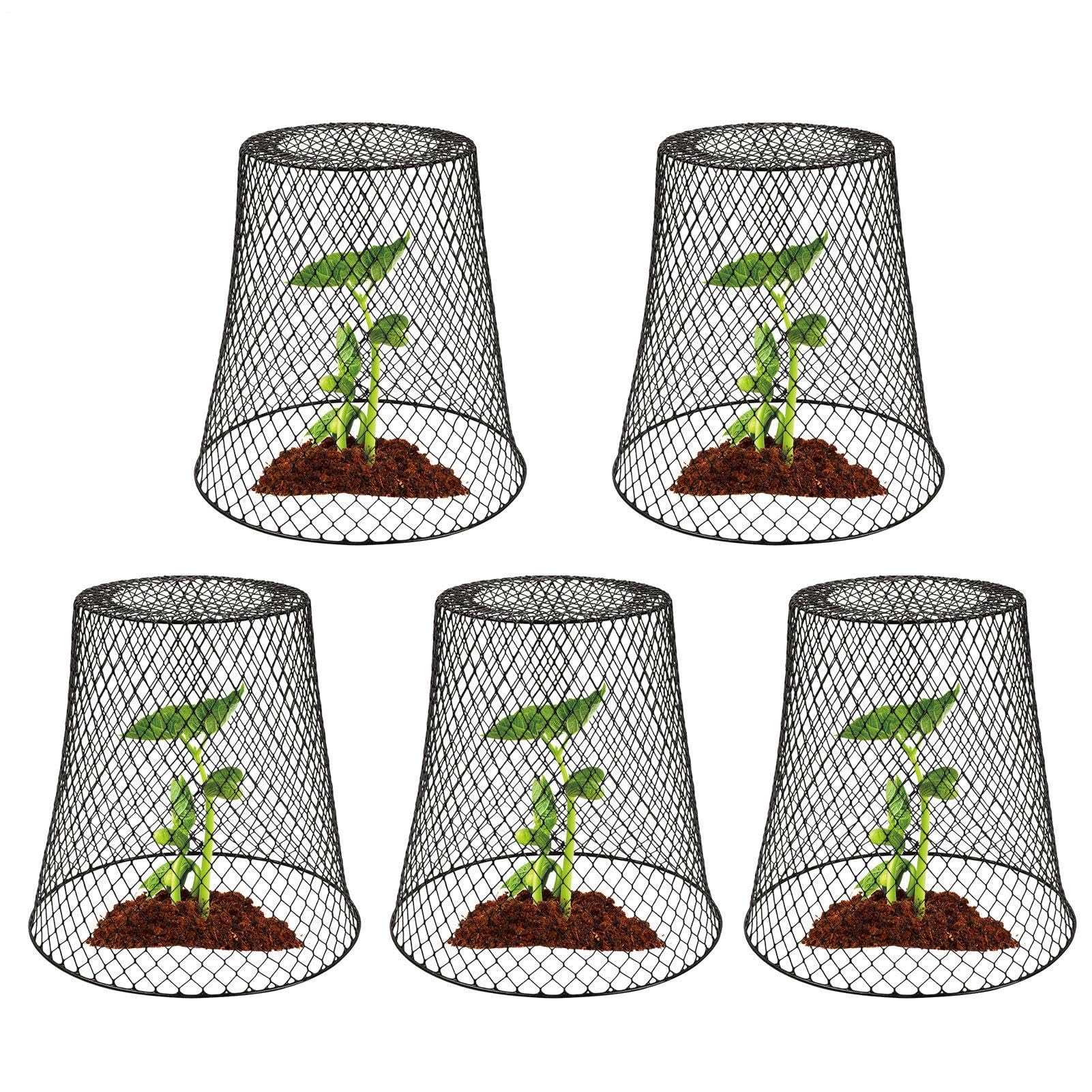 Cloches de jardin pour les Barrière Métallique Anti-Animaux 5 Pièces