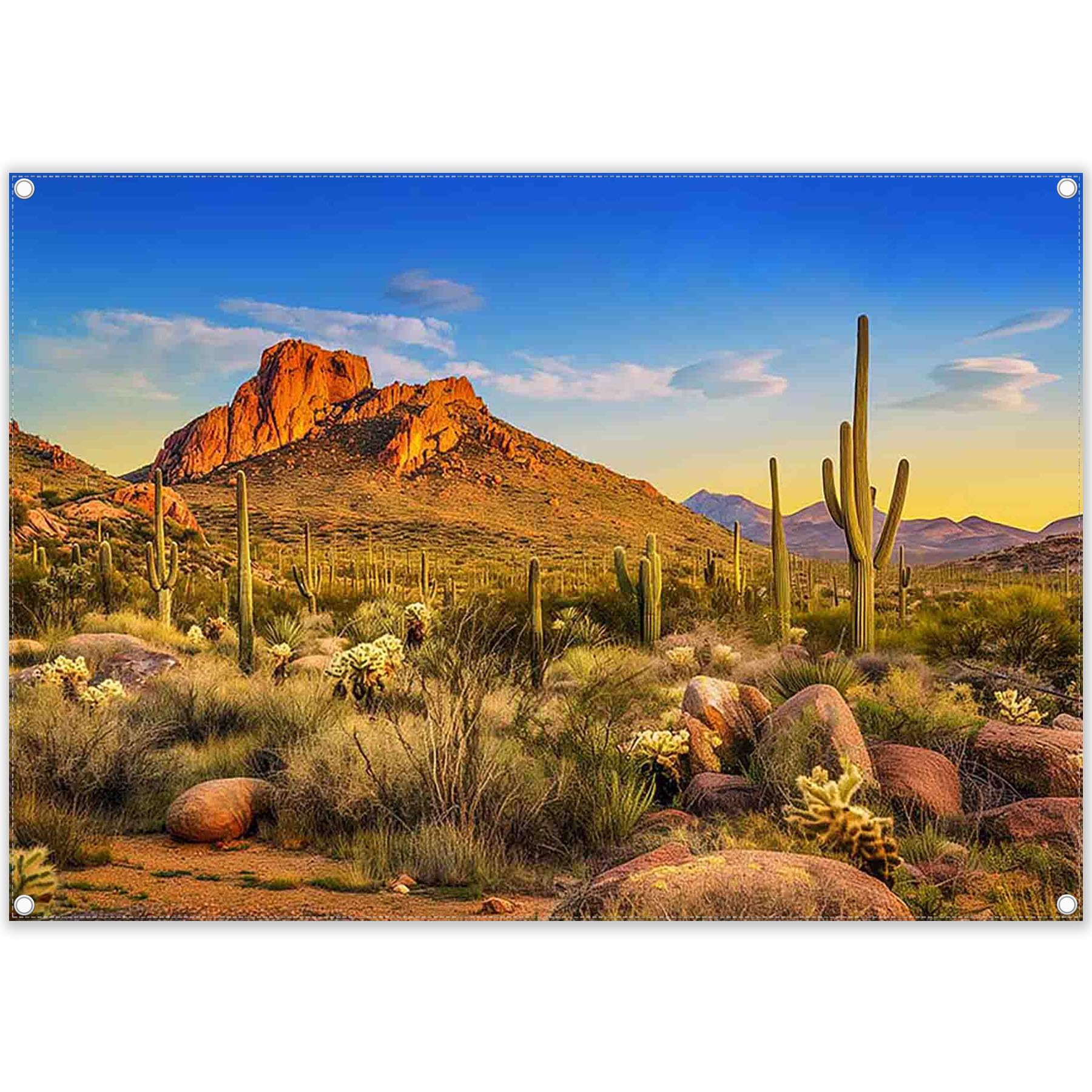 Amazon.com : ZTHMOE Fabric 7x5ft Desert Photography Backdrop Cactus Plants  Rock Mountains Park Nature Scene Background Western Cowboy Party  Decorations Photo Booth Banner : Electronics