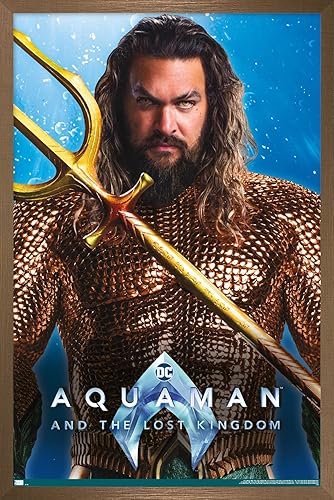 Trends International DC Comics Movie Aquaman y el Reino Perdido - Póster de pared de Aquaman, 22.37 x 34.00 pulgadas, versión enmarcada en bronce