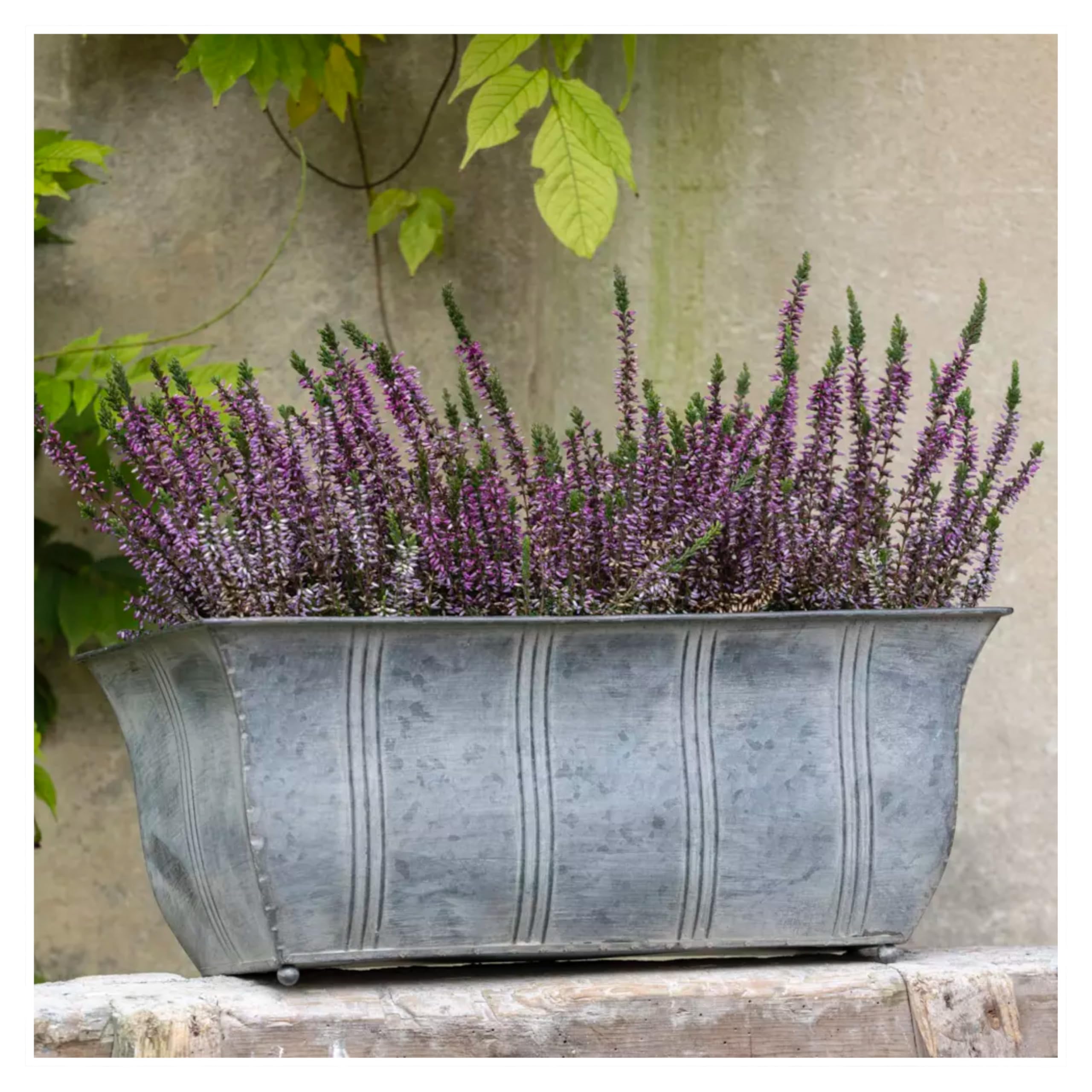 Wholesome Home Grey Galvanised Trough Planter, Rectangular Outdoor Plant Pot, Window Box Planters, Metal (Large (41.5))