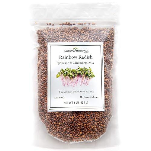 Rainbow Radish Sprouting Seed Mix | Heirloom Non-GMO Seeds for