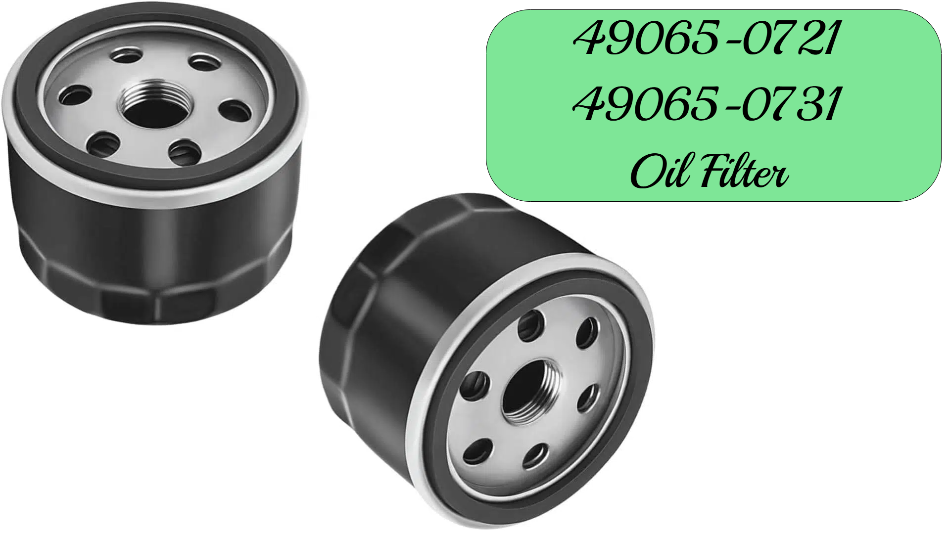 Amazon.com: Viclaakesi 6Holes 49065-0721 49065-0731 Oil Filter