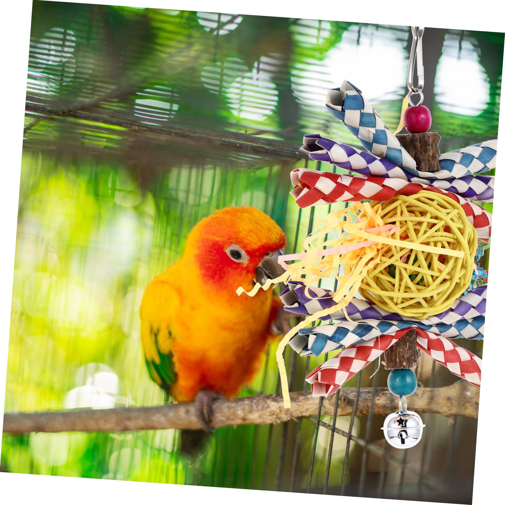 FRCOLOR 2pièces Jouet à Mordre pour Perroquet Accessoire Et Herbe pour Oiseaux Stimule Activité Physique Et Réduit Ennui Jouet Créatif Et Amusant pour Oiseaux De Compagnie