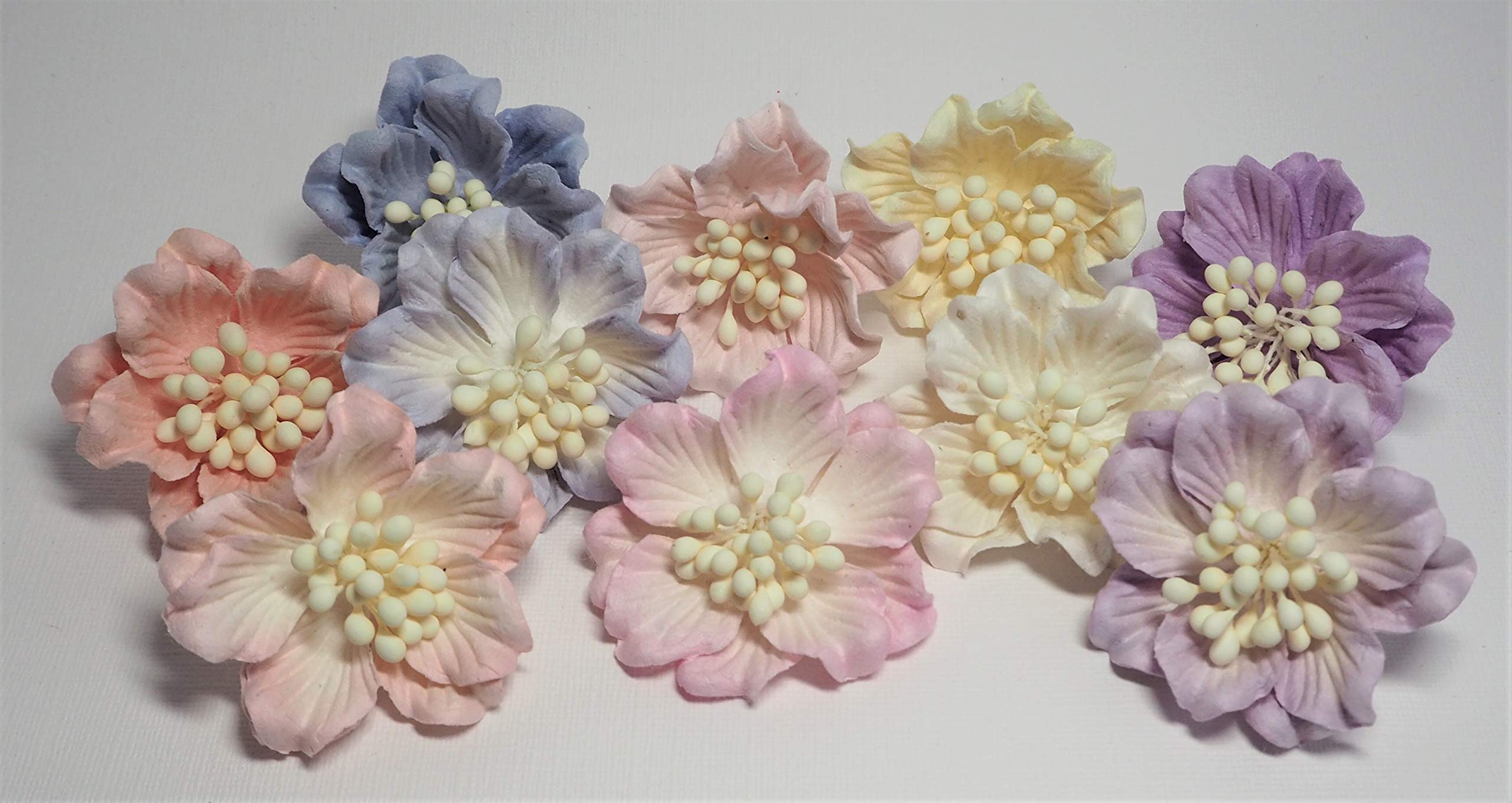 Rather Fancy Crafts 10 X Mulberry Paper Flower Magnolias X Pack