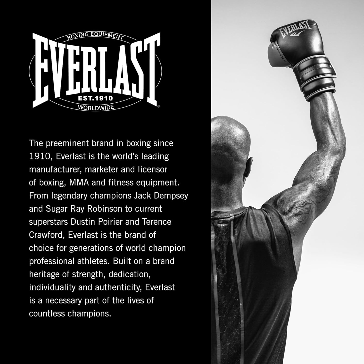 Everlast Everlast