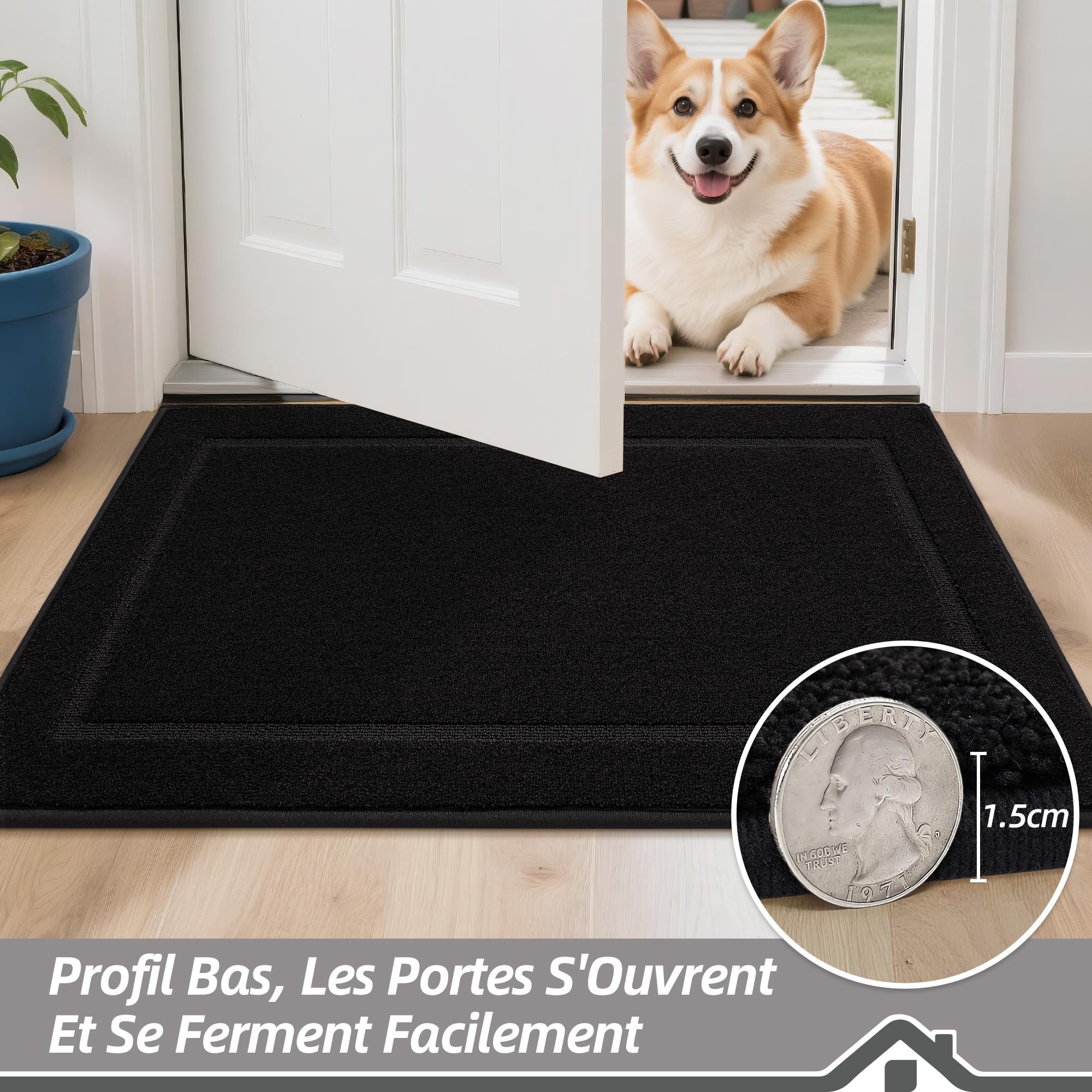 BEQHAUSE Tapis Entree Interieur, TPR Antidérapant, Noir, 90 x 150cm