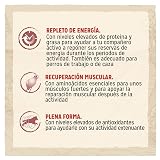 Ver la foto 2