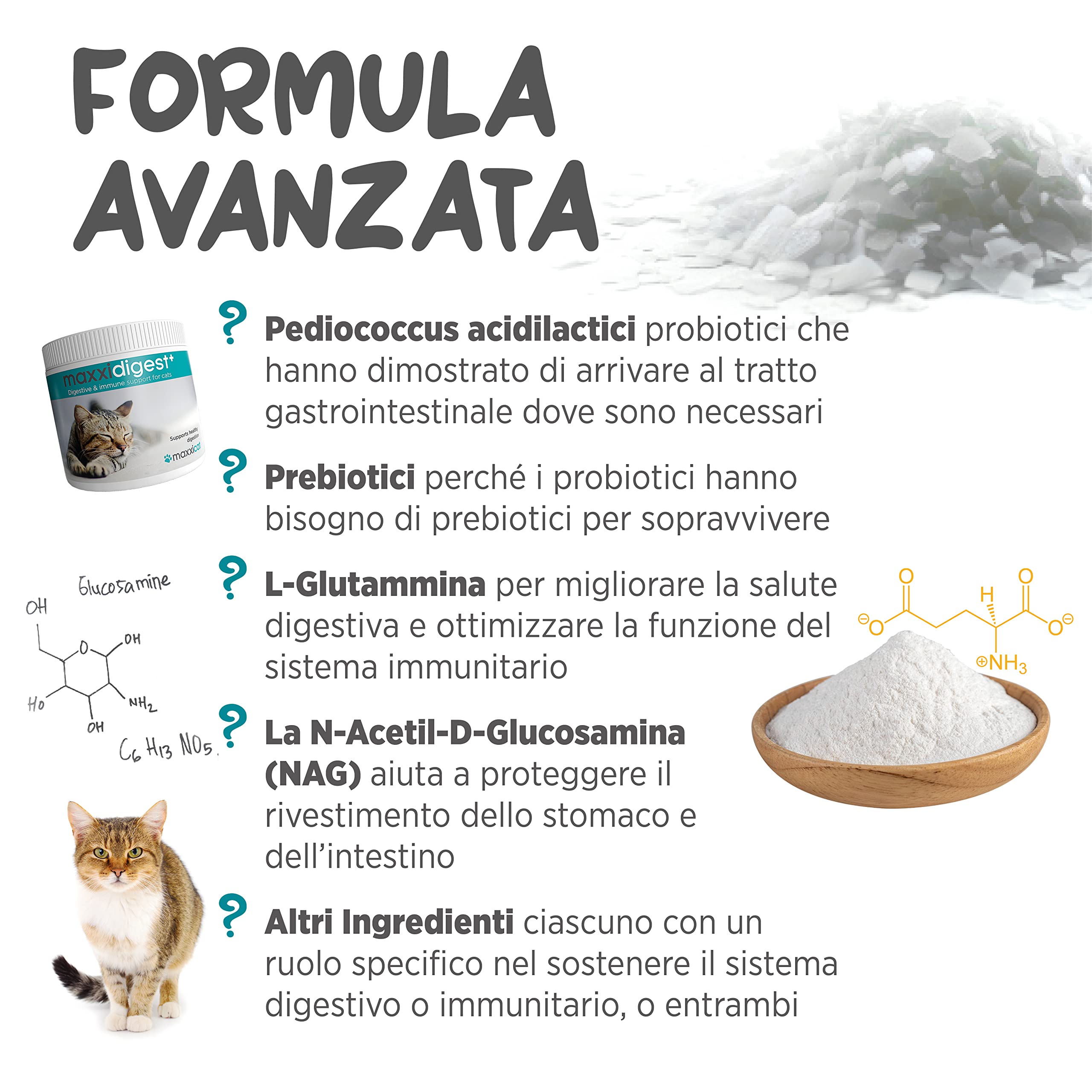 maxxipaws maxxidigest+ Prebiotici e Probiotici per Gatti - Integratore per l'Apparato Digerente e il Sistema Immunitario, 90g