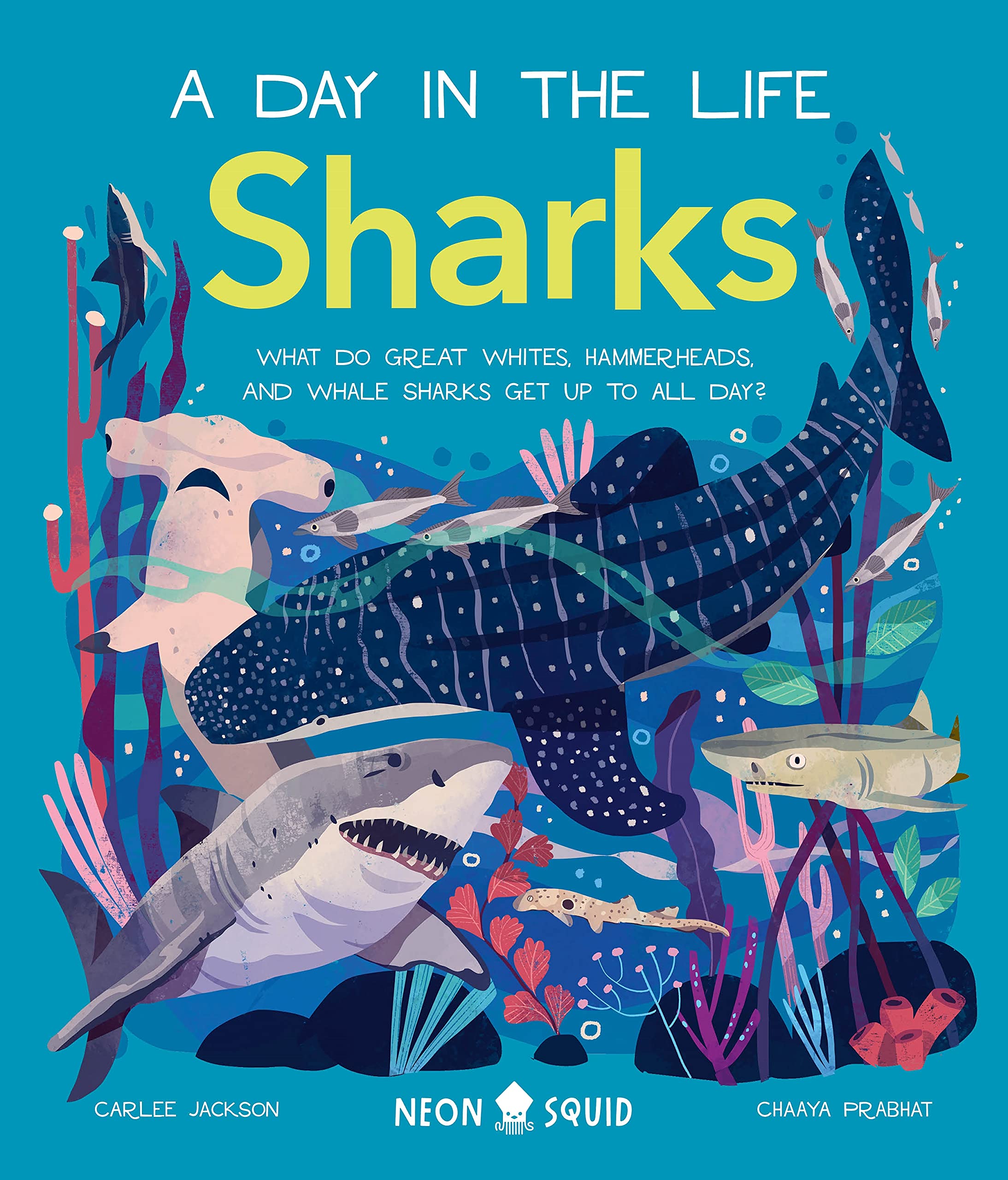 Sharks (A Day in the Life): What Do Great Whites, Hammerheads, and Whale Sharks Get Up To All Day?: 3