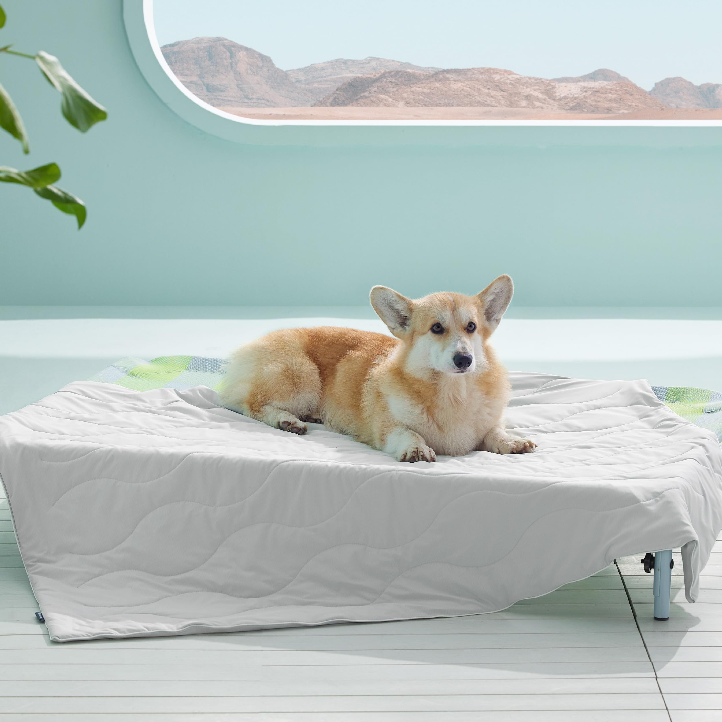 Bedsure Premium Cooling Blanket for Large Dog - Q-MAX>0.5, Breathable Summer Washable Cold Pet Mat, Soft Durable Self Cooling Dog Mat for Hot Weather, Pearl Grey, 40x50