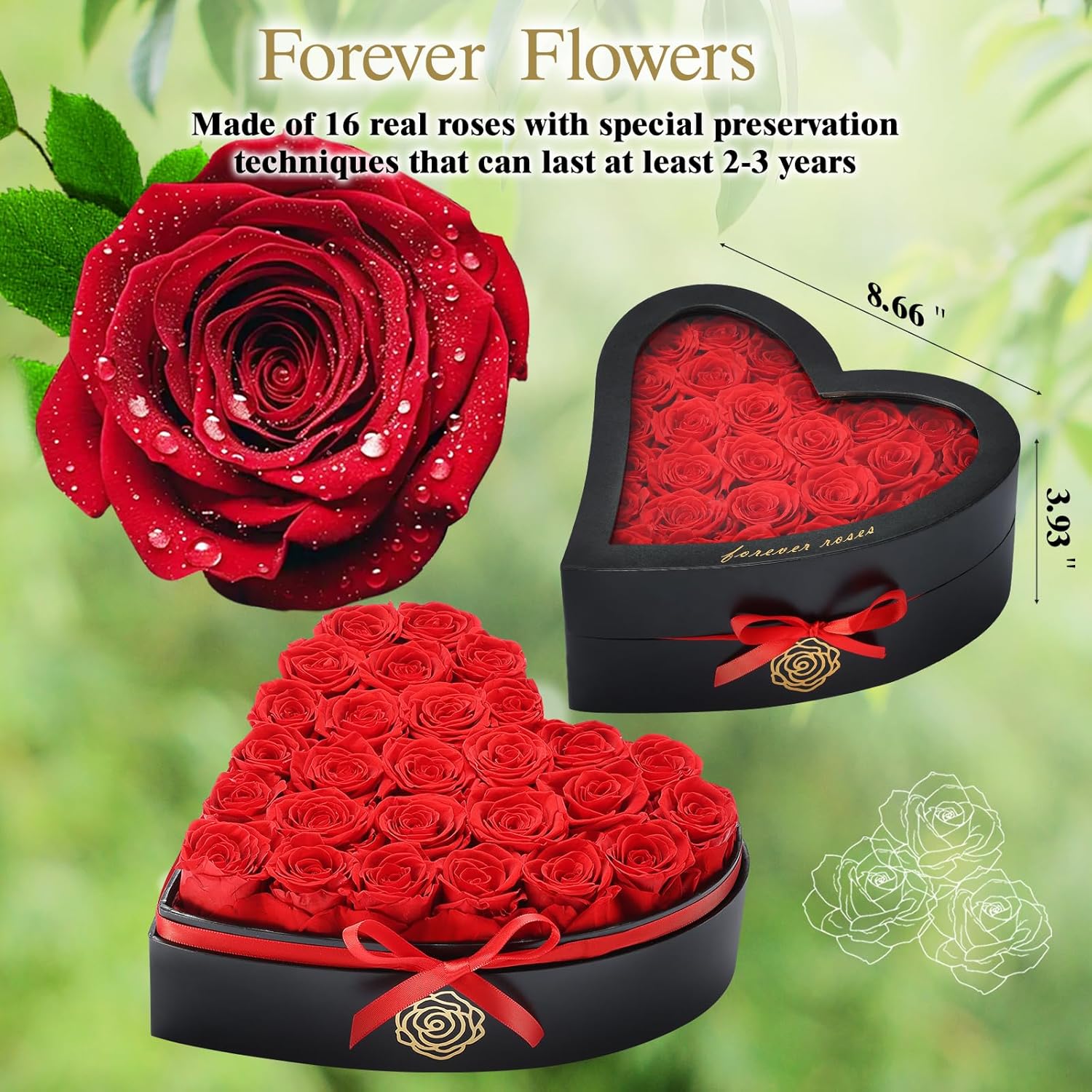 27 Preserved Roses in Heart Shaped Box - Forever Flowers Romantic Gifts for Her, Valentine’s Day, Anniversary, Wedding (Red) - Image 2