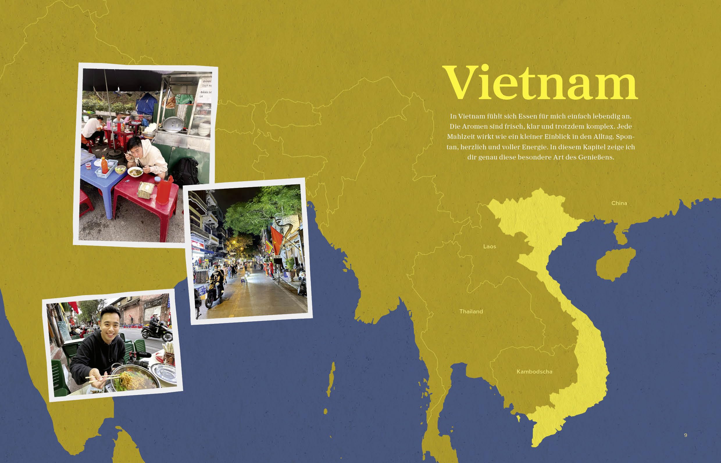 Taste of Asia: Streetfood Rezepte aus Vietnam, Thailand, Japan & Korea – Wok, Ramen, Pho, Kimchi einfach zuhause kochen | Von Viet Shao