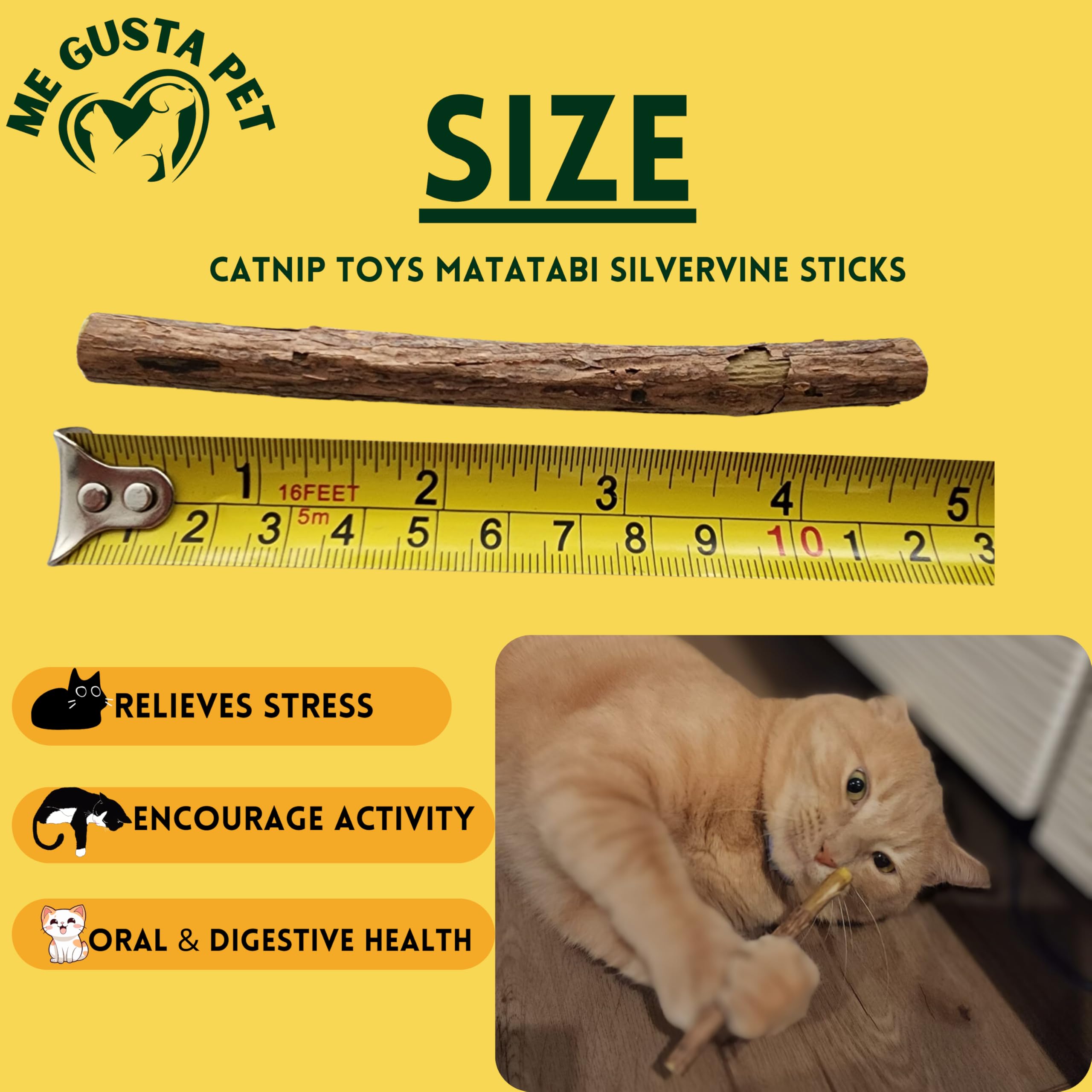 ME GUSTA PET Cat Toys Silvervine Sticks for Cats | Matatabi Chew Stick | Toy Catnip Sticks Organic Chew Toys | Wooden Kitten Teething | Silvervine (Pack of 30)