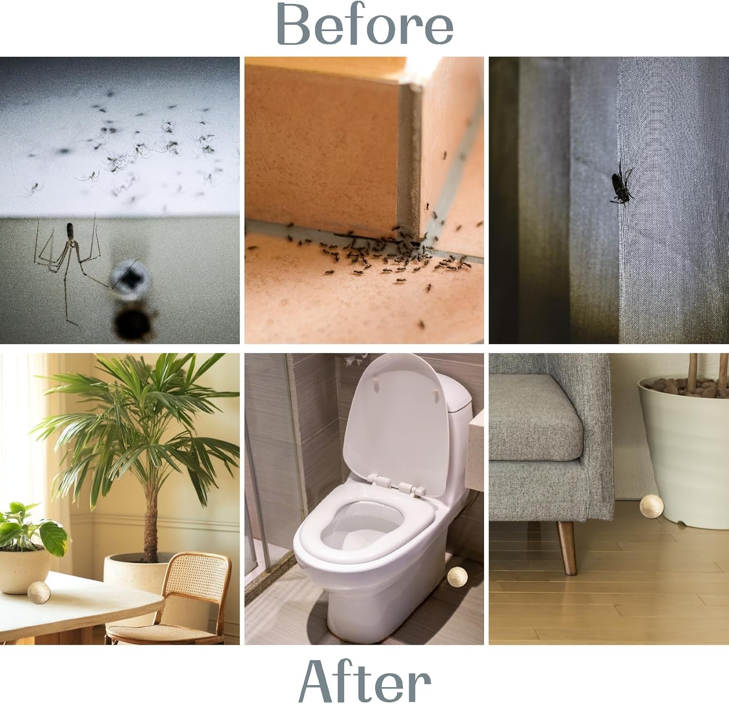 12 Pack Silverfish Repellent Balls Indoor,Long-Lasting Indoor Insect & Rodent Repellent for Spider, Ant, Cockroach, Mouse, Silverfish - Natural, Safe for Pets & Kids, Powerful Peppermint Oil Infused - Image 3