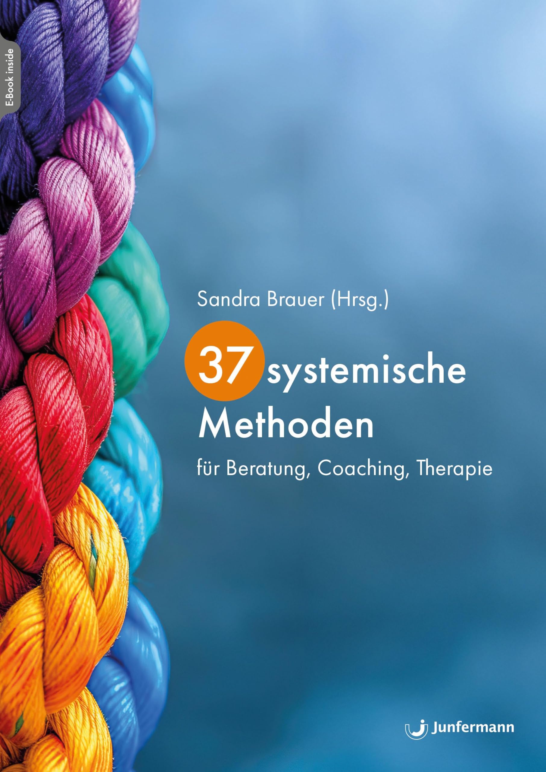 37 systemische Methoden: für Beratung, Coaching, Therapie