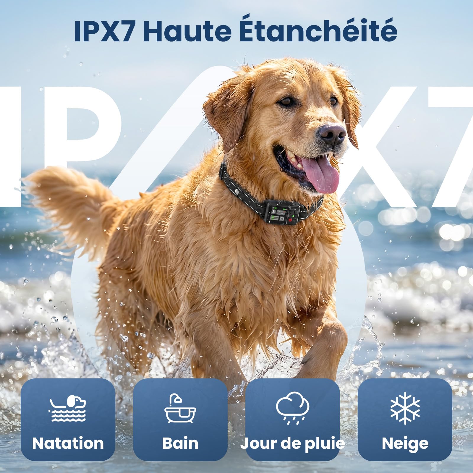 Collier Anti Fugue Chien sans Fil GPS, Collier GPS pour Chien avec Écran Couleur, Clôture GPS Intelligente Haute Précision, Réglable 30-999M, IPX7 Étanche, Utilisation Simple