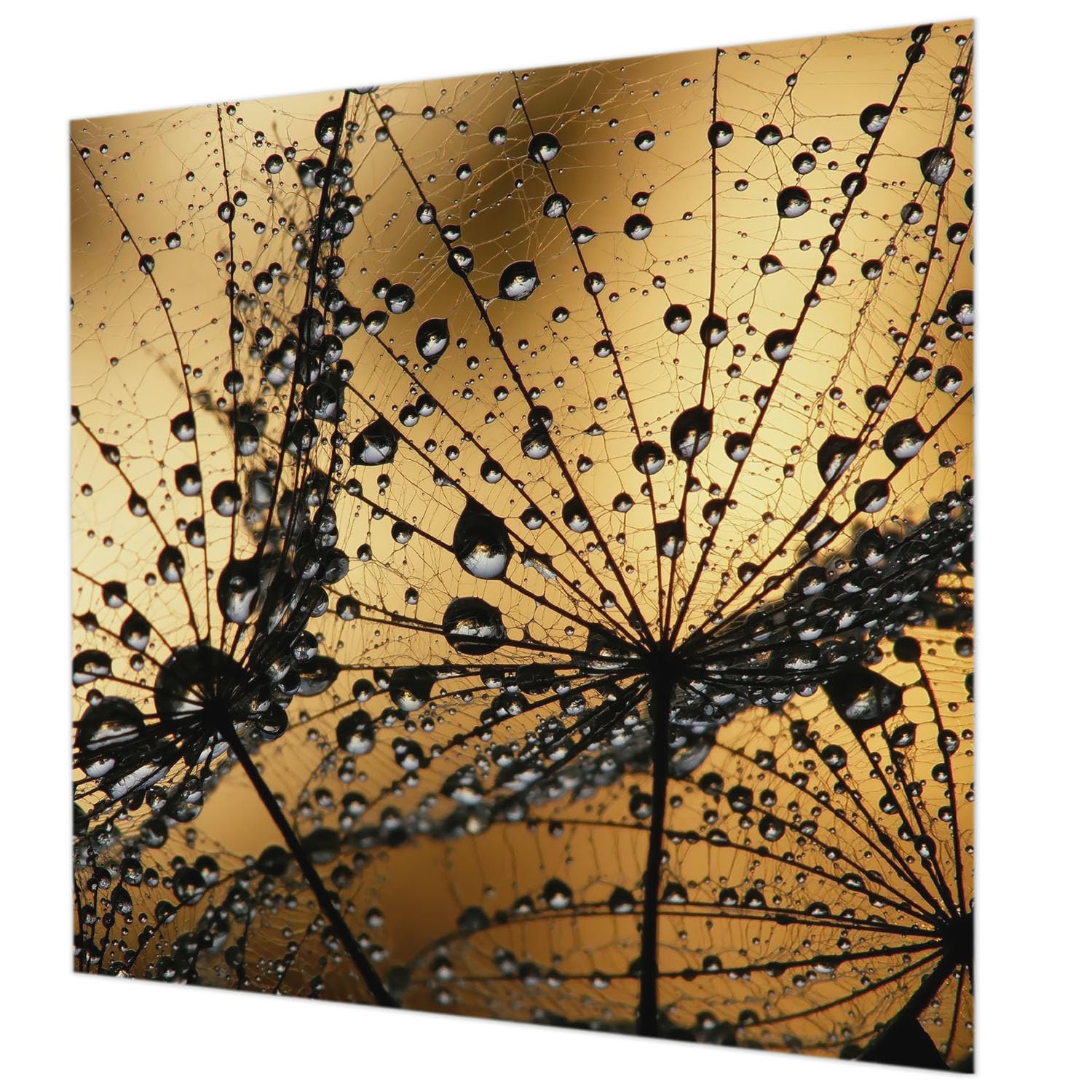 Tapisserie intissée 250x250 décoration intérieure salon