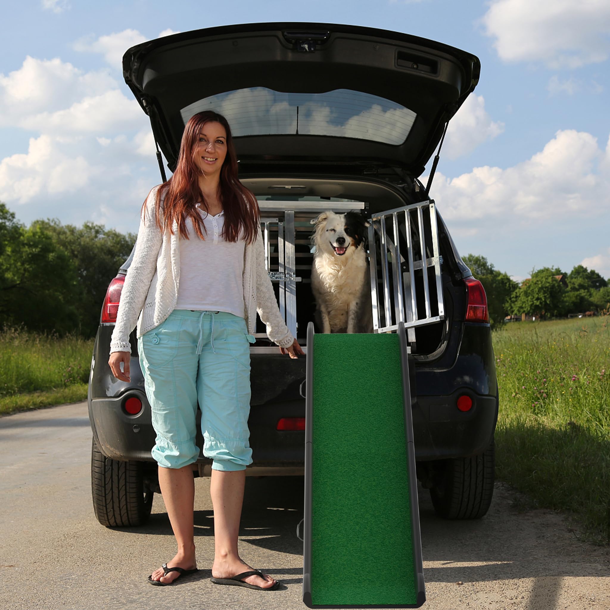 HENGMEI Escalera para perros plegable de plástico para perros, rampa de acceso para maletero, escalera para mascotas para perros grandes y pesados, 156 x 40 cm, verde