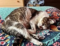 Review Image by Just Jill Just Jill