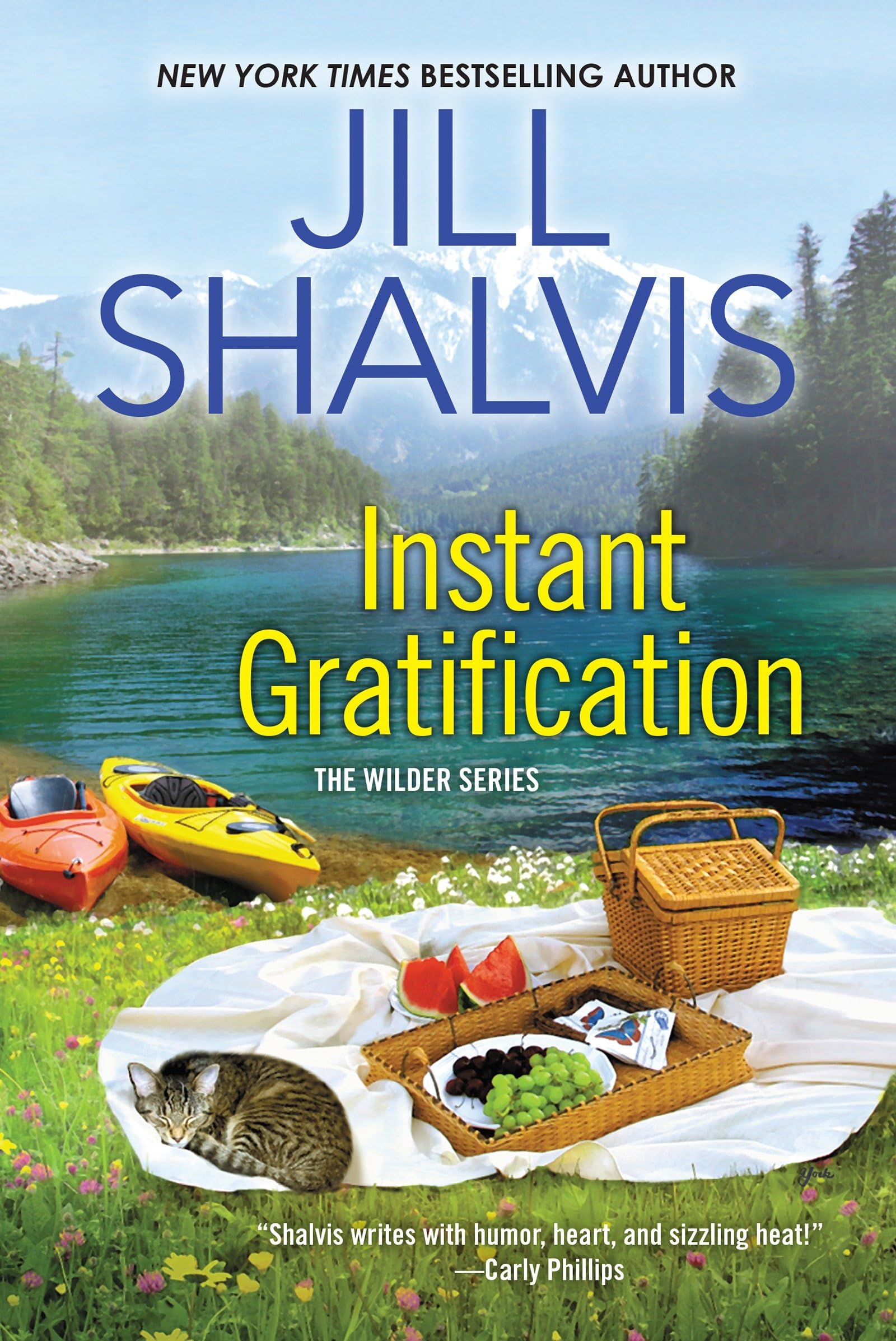 Cover of Instant Gratification (Wilder Brothers)
