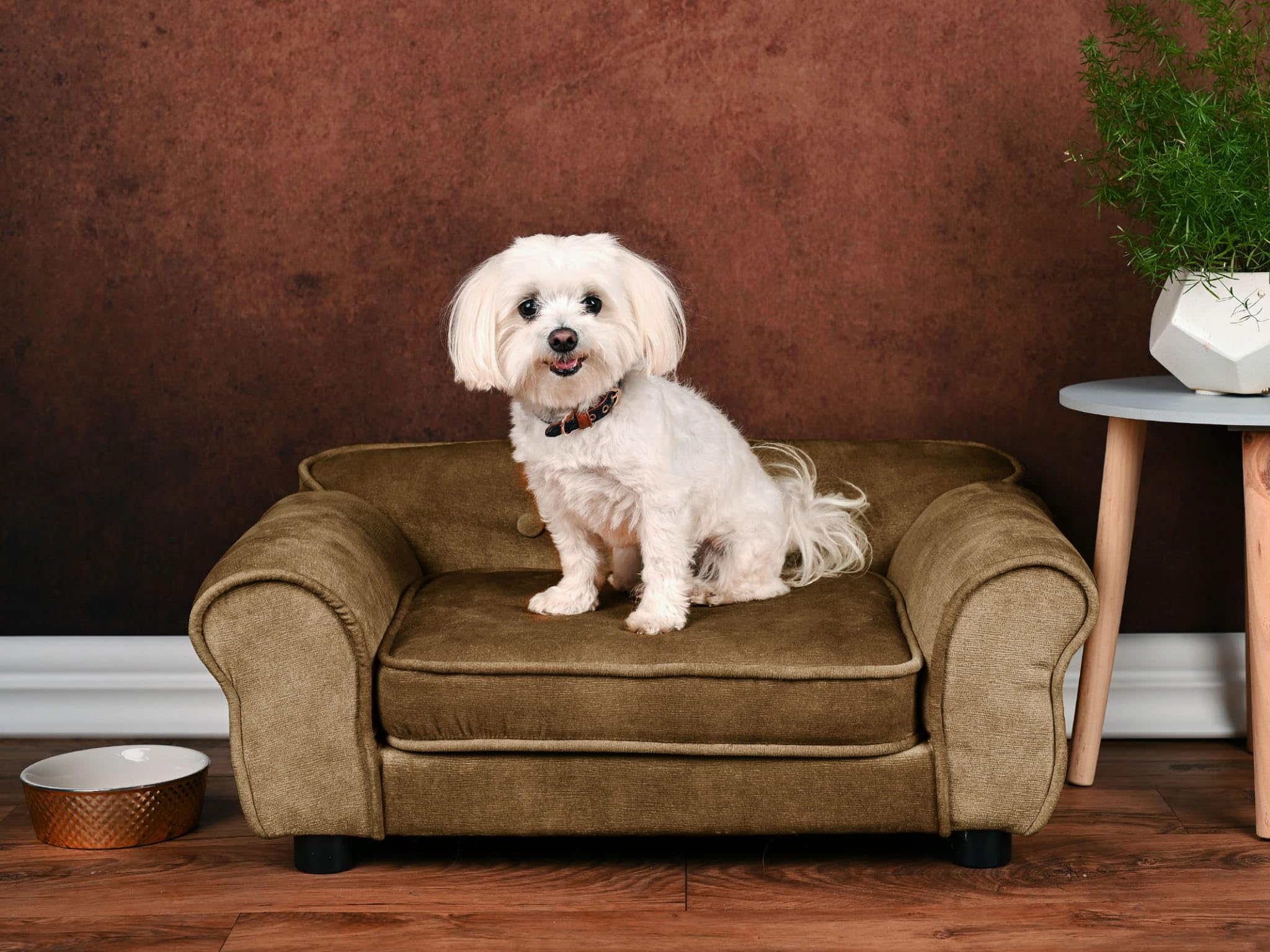 MG Design Canapé pour Chien et Chat Marron – Structure en Bois, Assise rembourrée, Facile à Nettoyer – prêt à l’Emploi