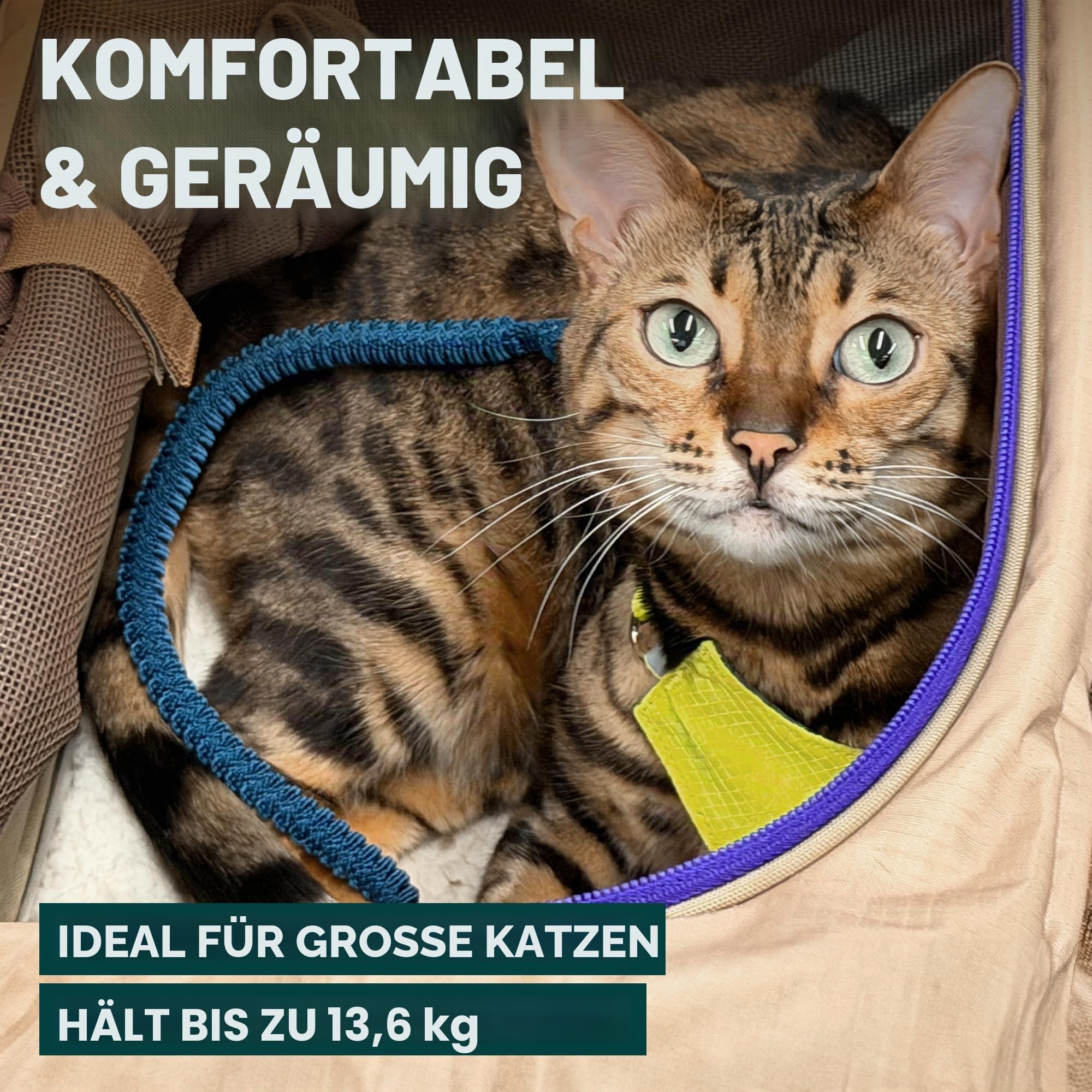 OutdoorBengal Zeppelin Airline-zugelassene große Katzentragetasche, weich, TSA-geprüfte Haustier-Tragetasche, mit Öffnung Oben, für Flugzeug- und Autoreisen, Kätzchen oder kleine Hunde (Creme)