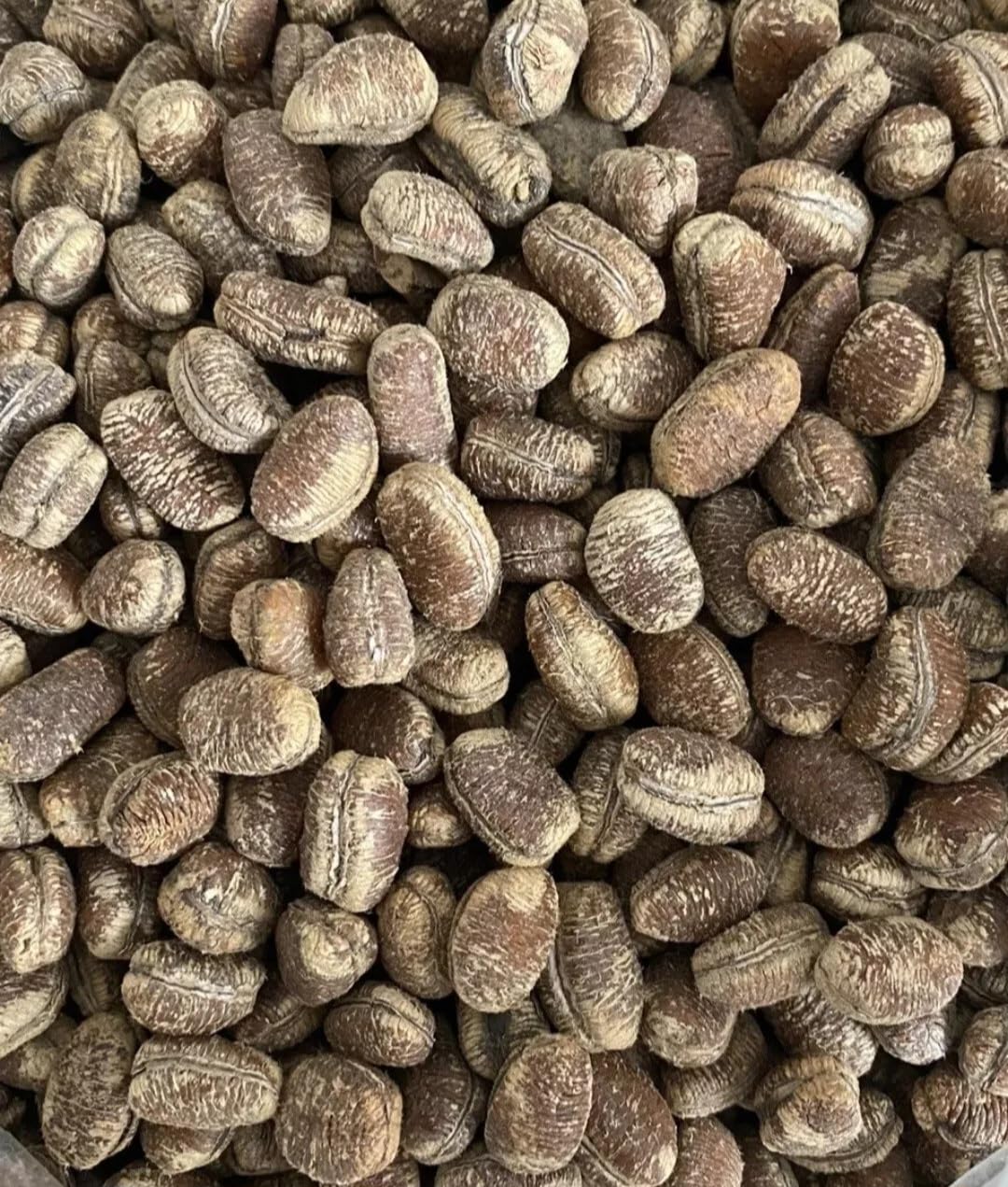 Premium Ehuru Seeds, African Negro Pepper, Natural Spice for Pepper Soup, 60g