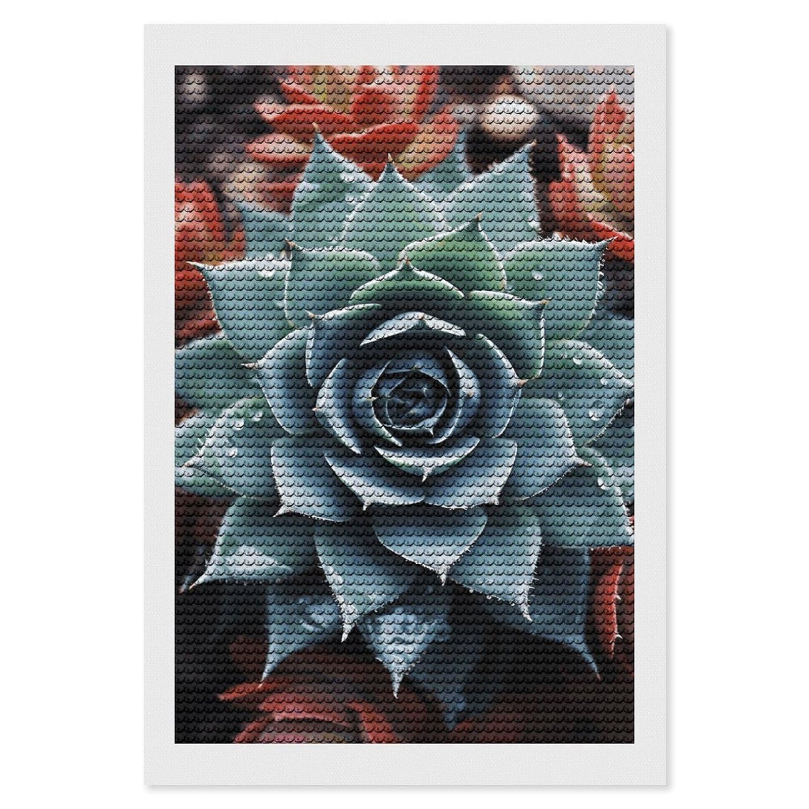 NONHAI Diamond Painting Kits for Adults - DIY Diamond Art Kits for Beginners - Full 5D Paint Drill Diamond Dots Paintings- Succulent Plant Diamonds Pictures Gem Art and Craft Wall Decor 8"x12"