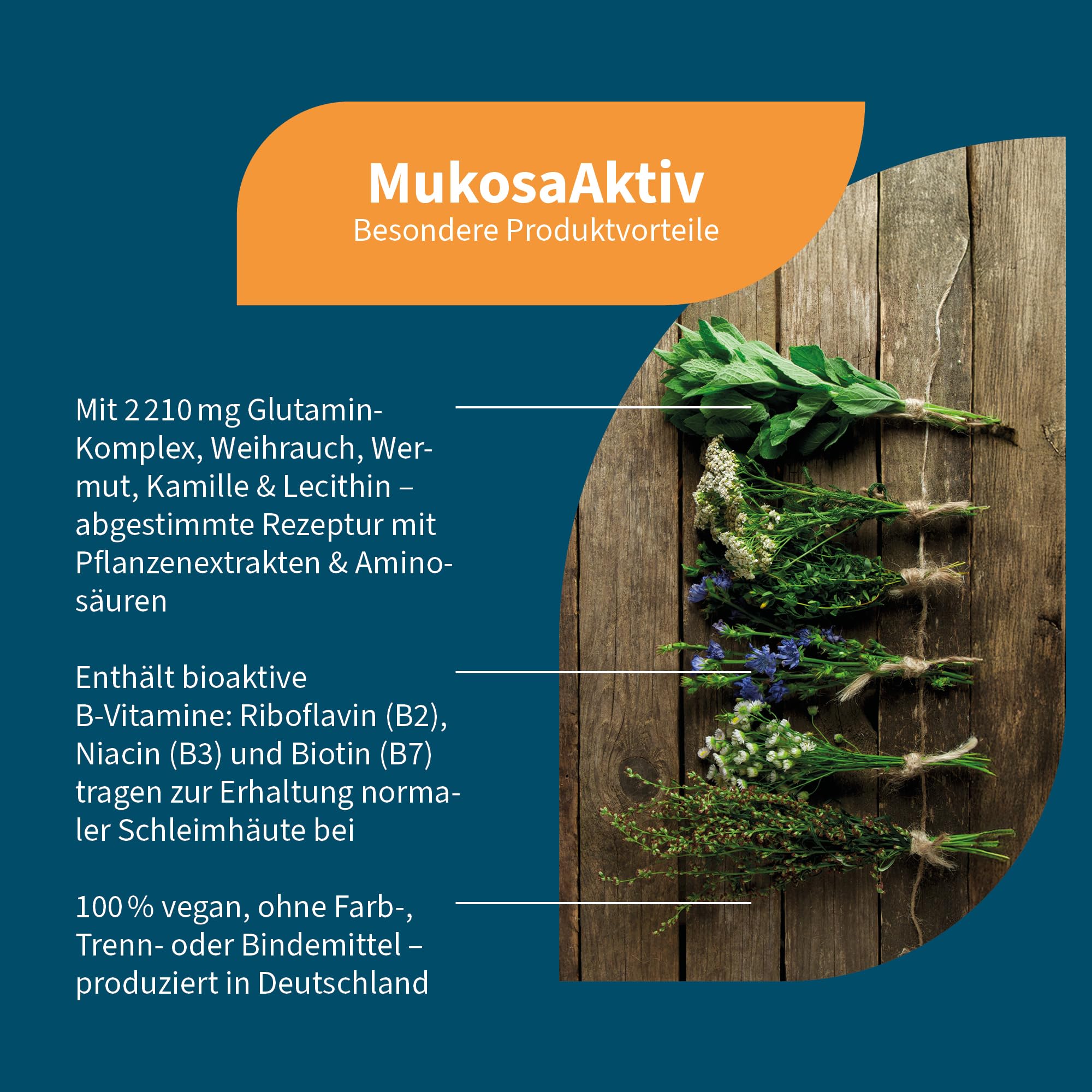 NatuGena Mukosa Aktiv L-Glutamin (2000 mg), Lecithin (1.500 mg), L-Alanyl-L-Glutamin (200 mg), Propionsäure (250 mg), hohe Bioverfügbarkeit, 210 Kapseln (30 Tage Packung)
