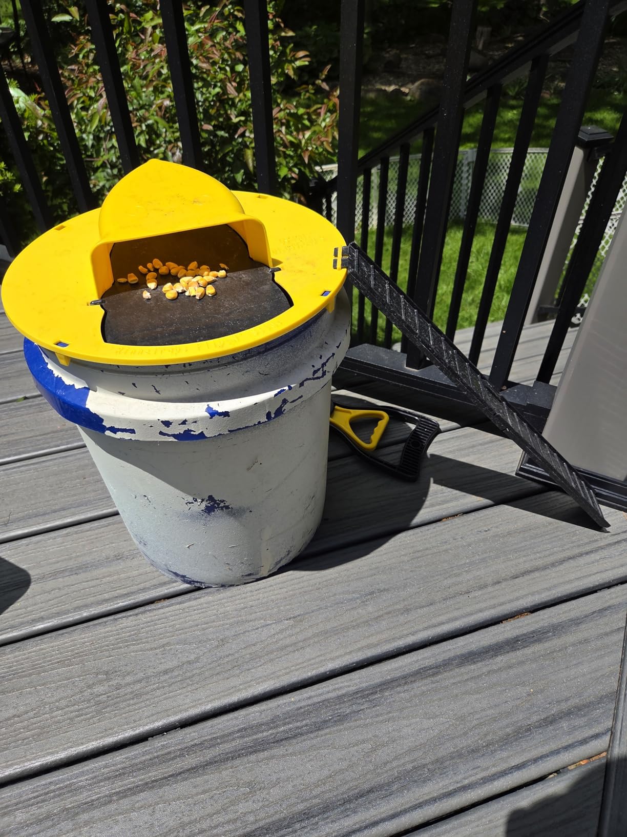 MultiCatch Mouse Trap: Humane & Lethal Mice Solution photo review