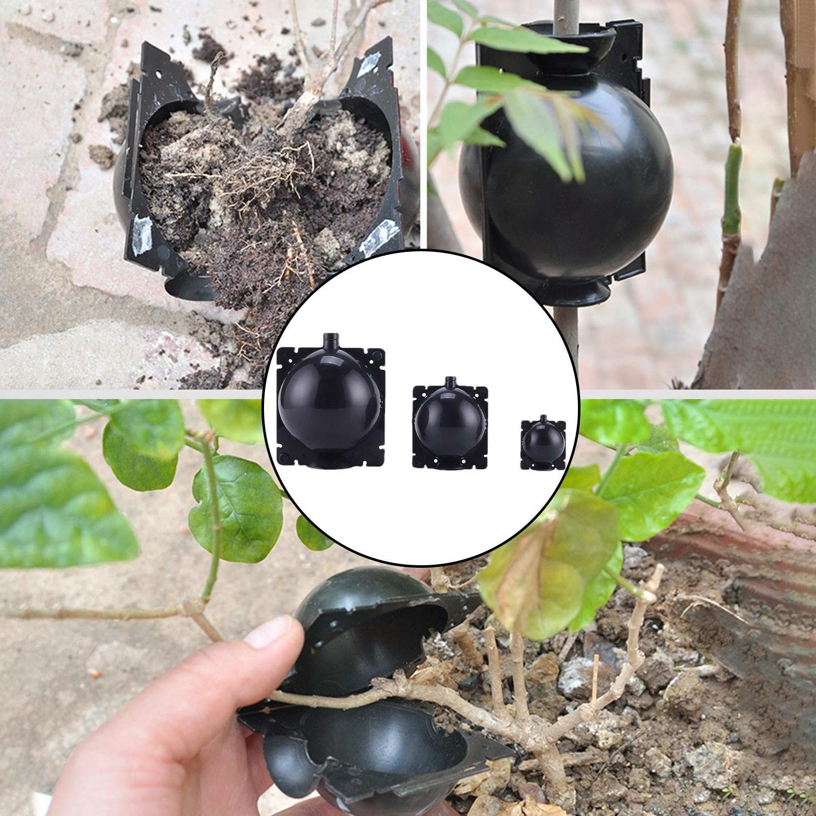 Rigute Lot De 18 Boîtes De Culture De Racines De Plantes, Boules D' Enracinement Réutilisables, Capsules De Superposition D'air Pour La Reproduction Des Plantes, Dispositif De Propagation Des Plantes