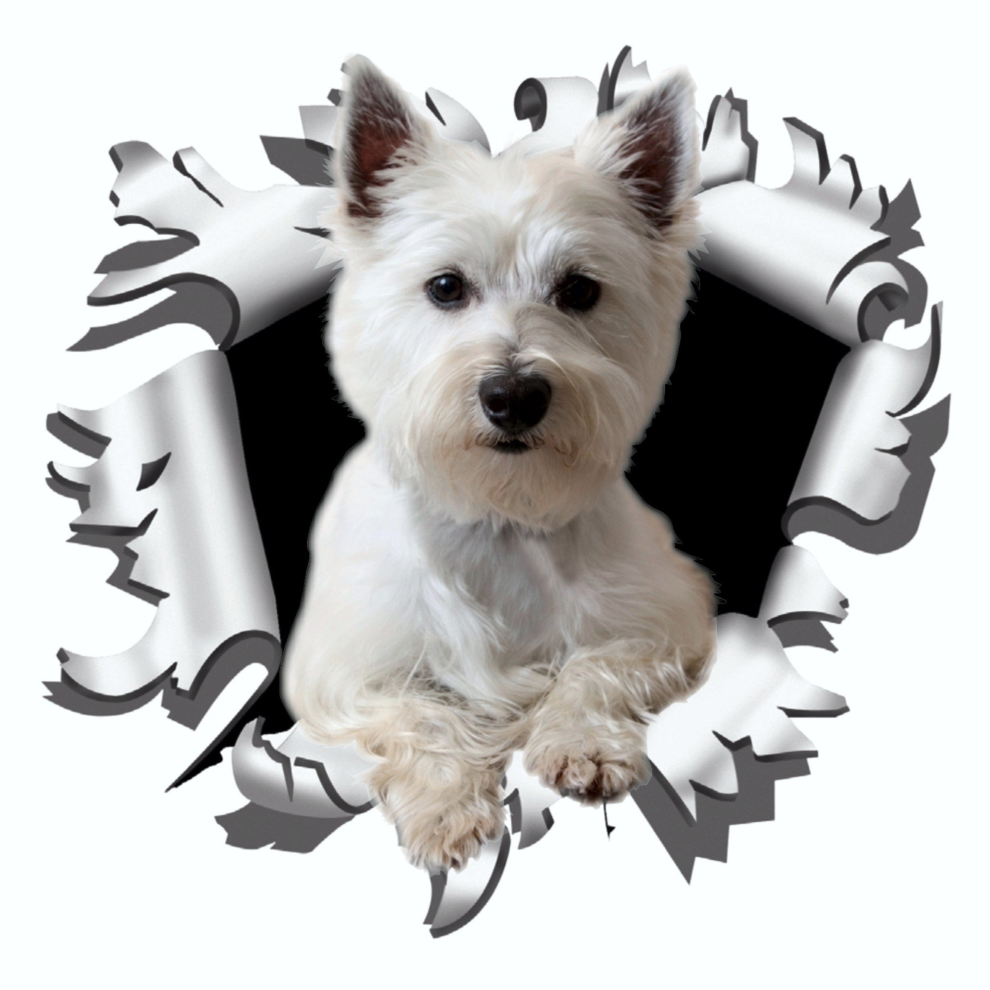 carstyling XXL Sticker ripped torn bullet hole 90 mm motive dog westi